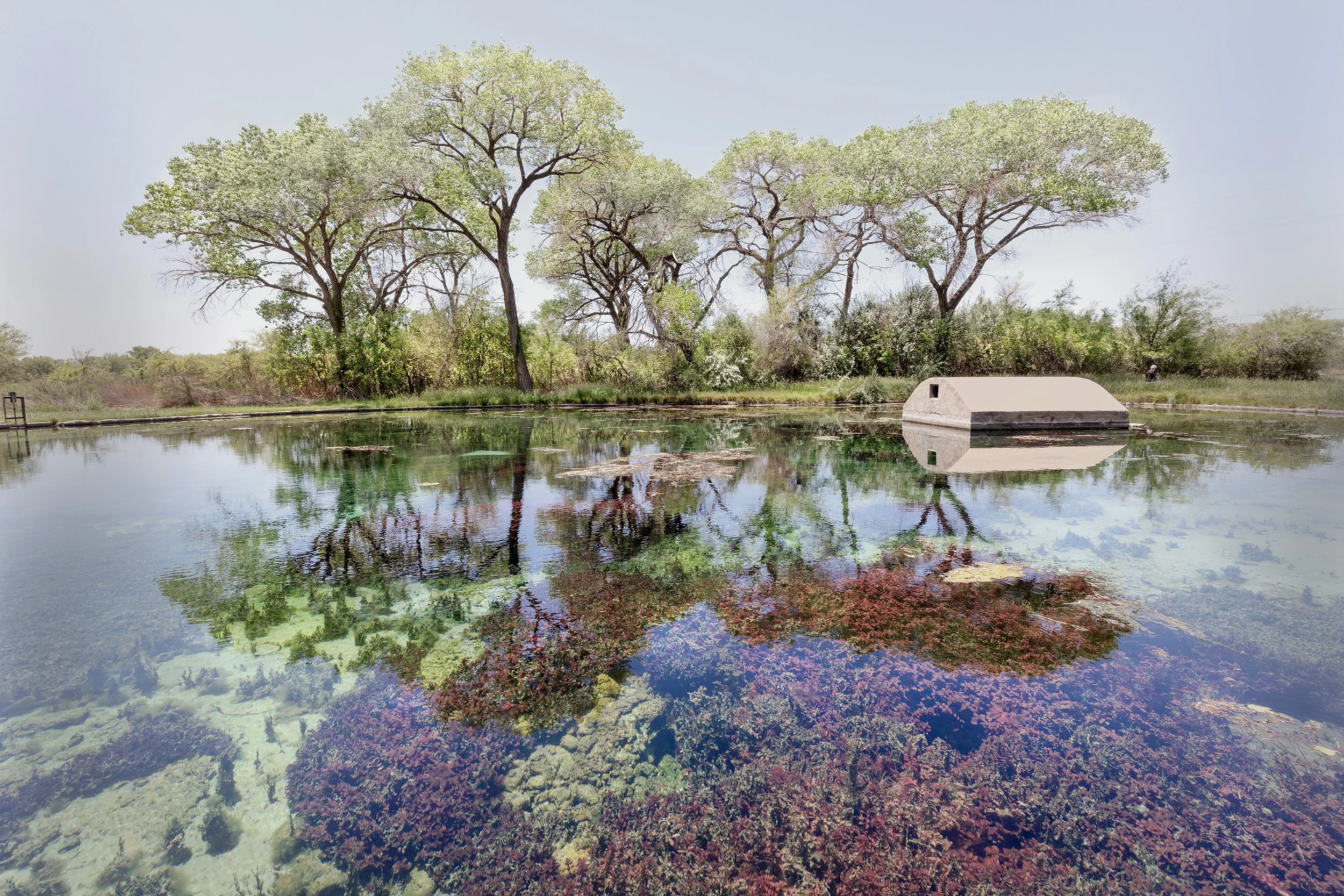 45C Rattlesnake Spring 2.jpg