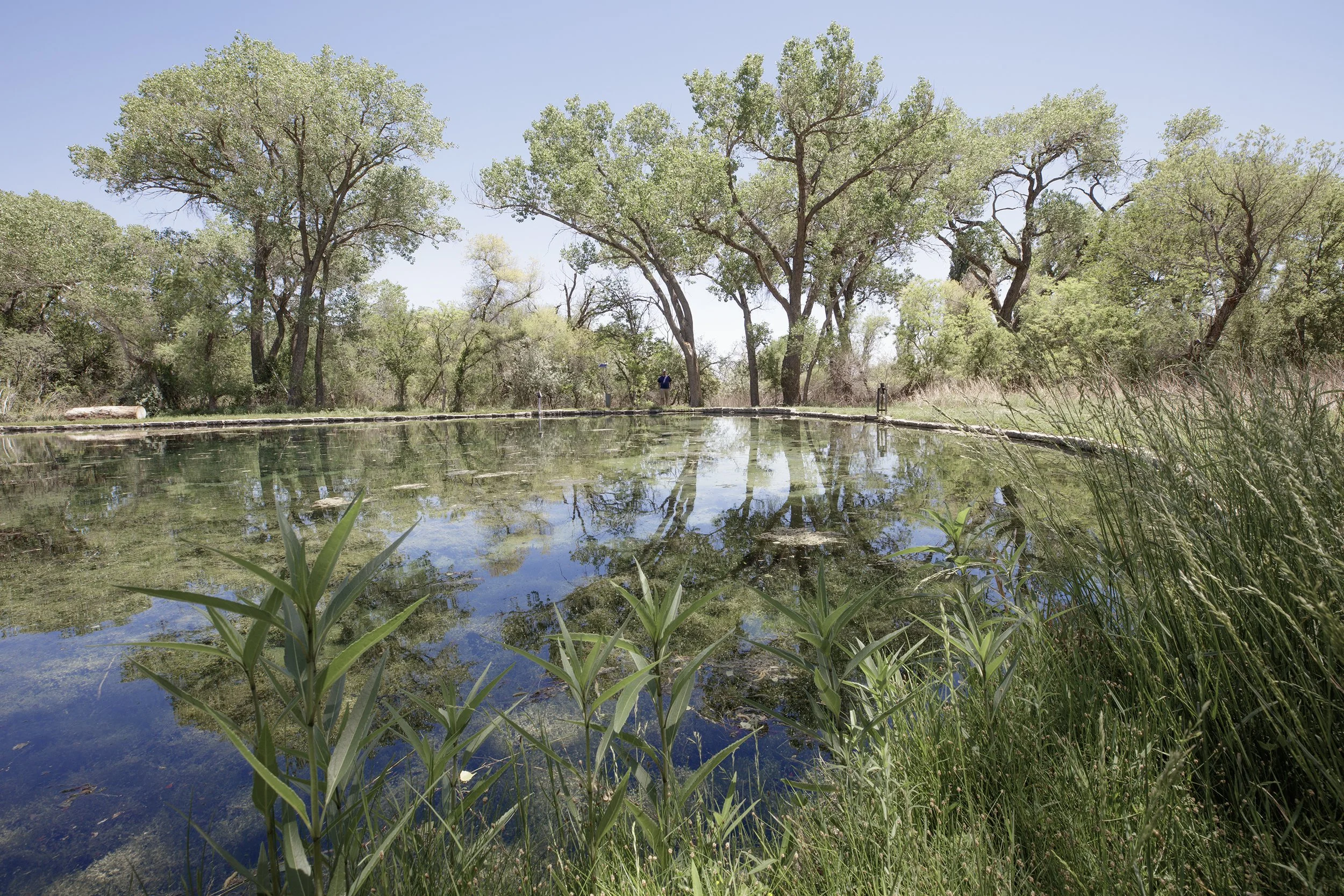 Rattlesnake Springs, Chihuahuan Desert, New Mexico