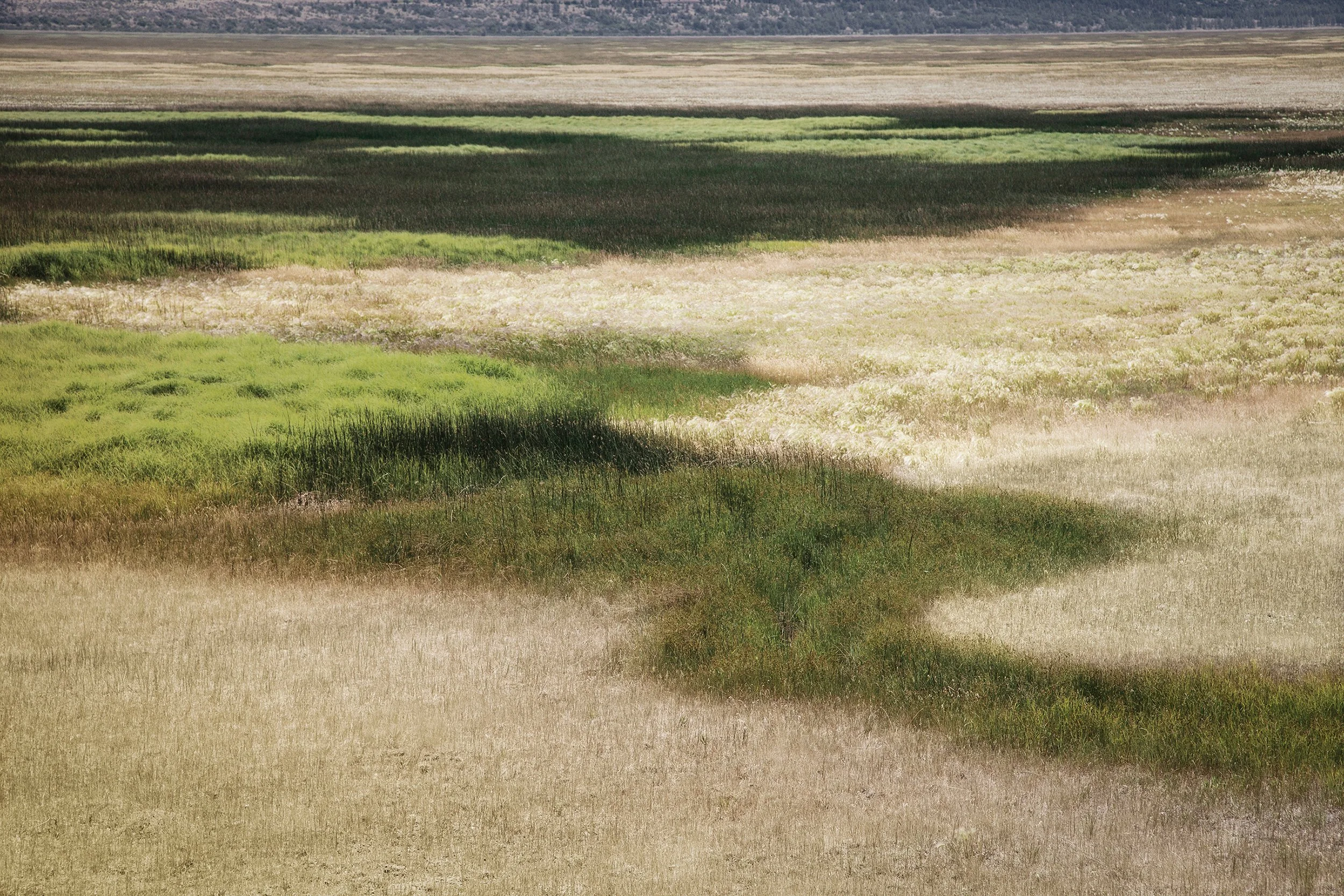 Dairy Spring, Colorado Plateau, Arizona