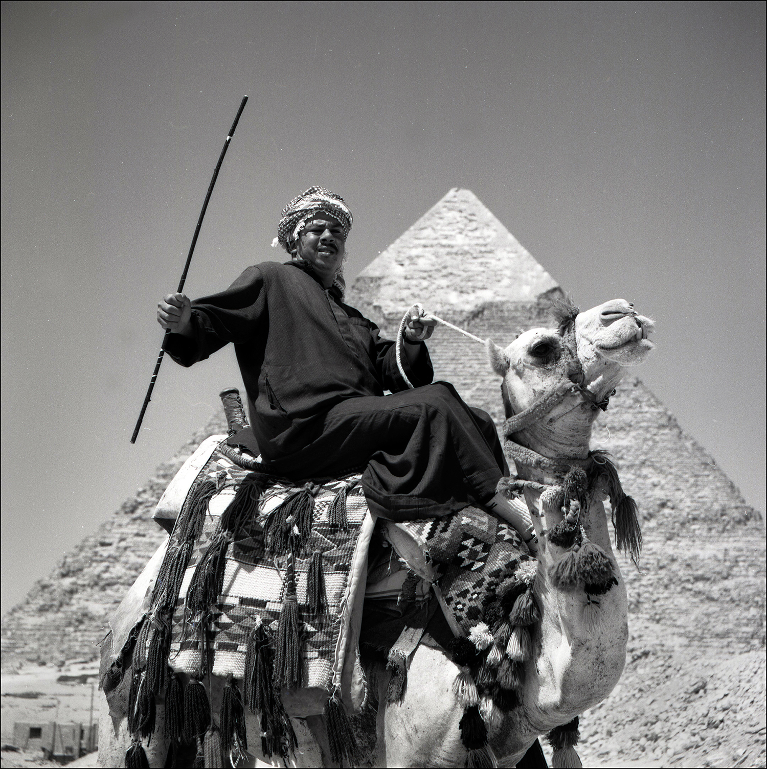 Camel driver.jpg