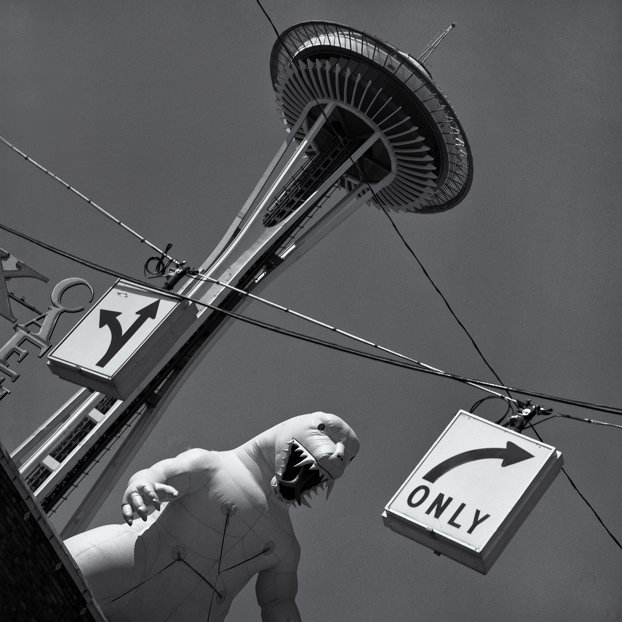  Godzilla and the Space Needle, Seattle 
