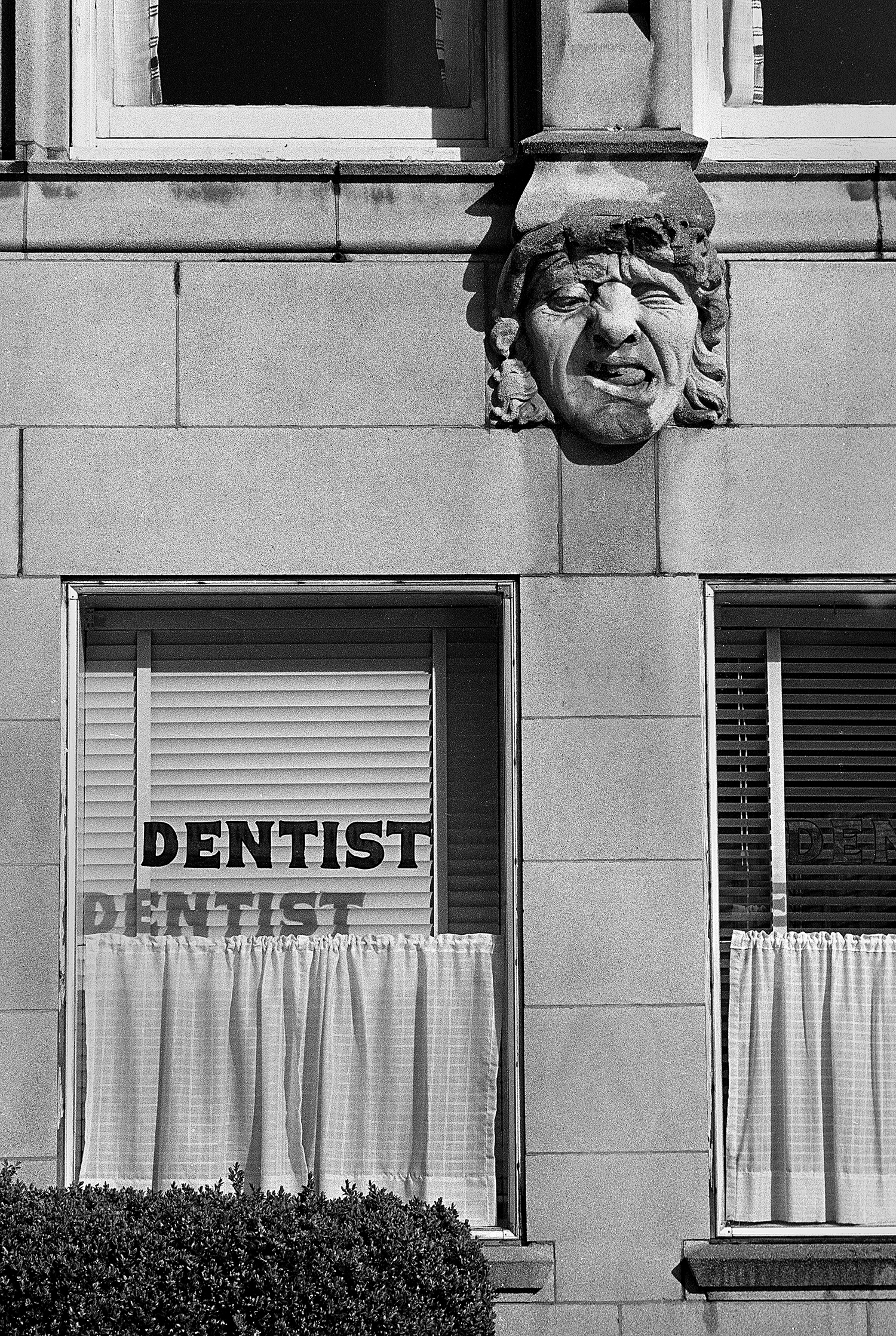 Dentist Gargoyles (312-25).jpg