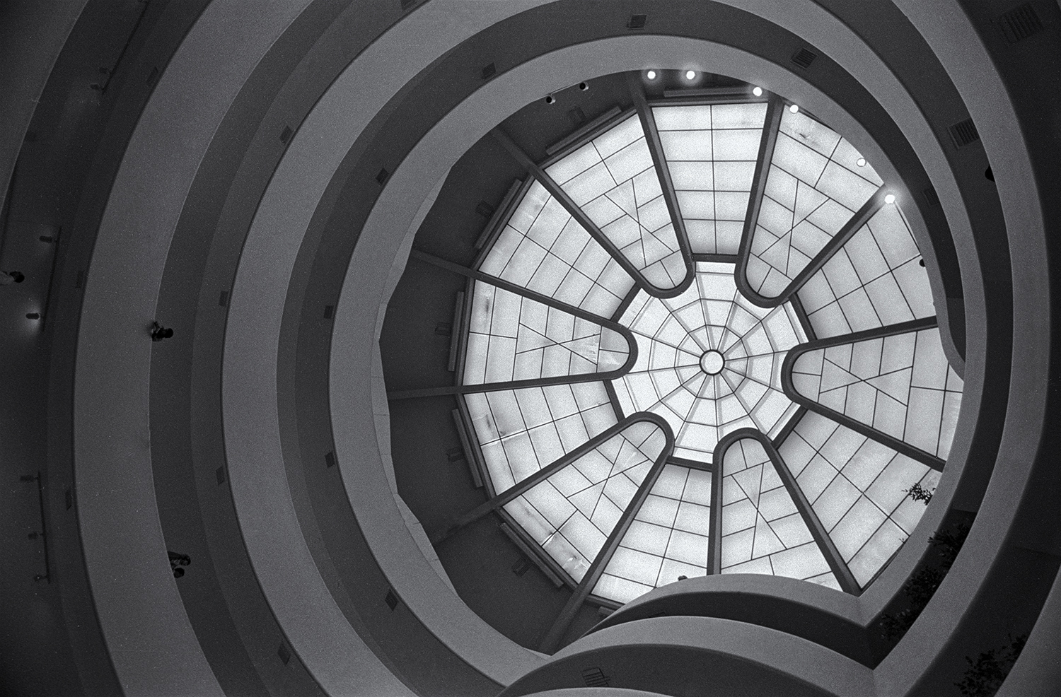 Guggenheim museum.jpg