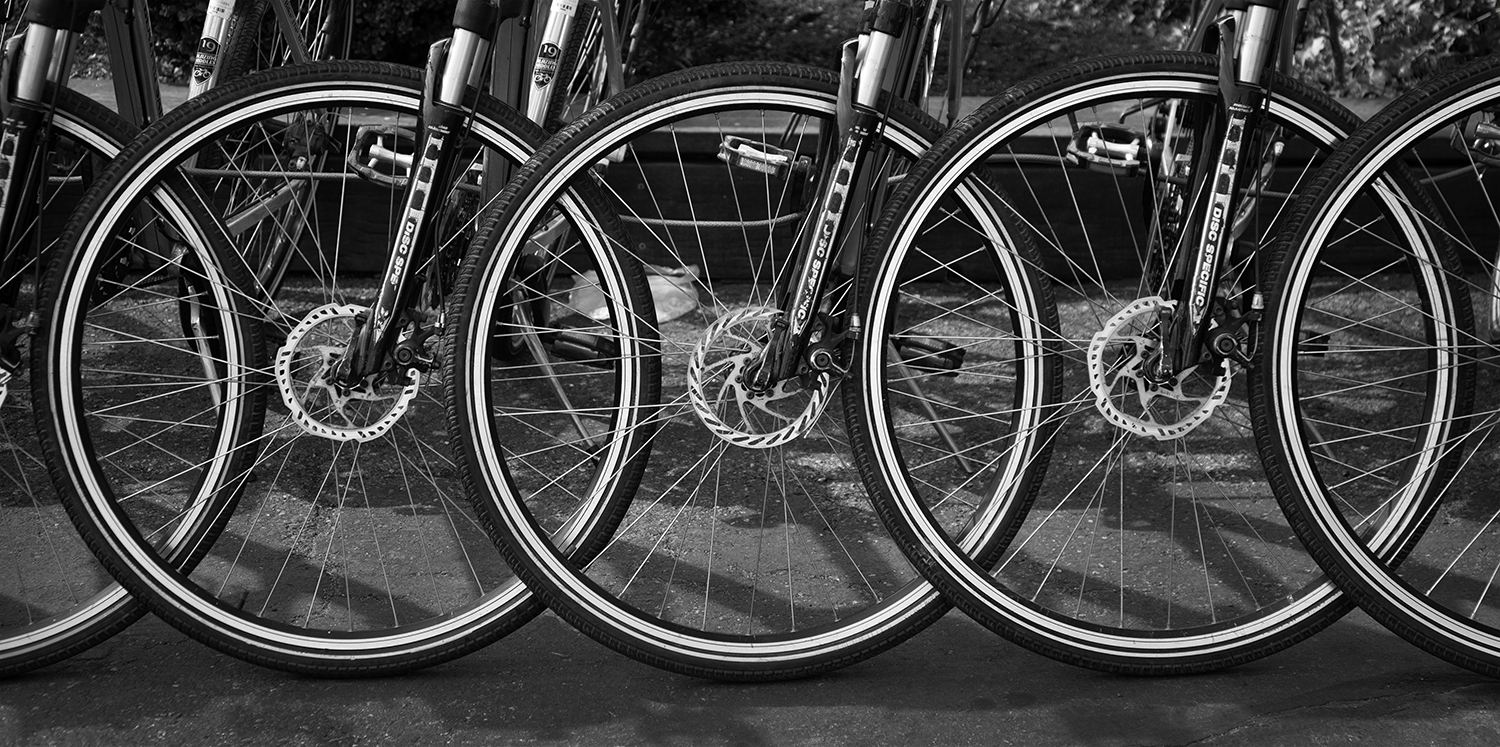 Bicycle wheels.jpg
