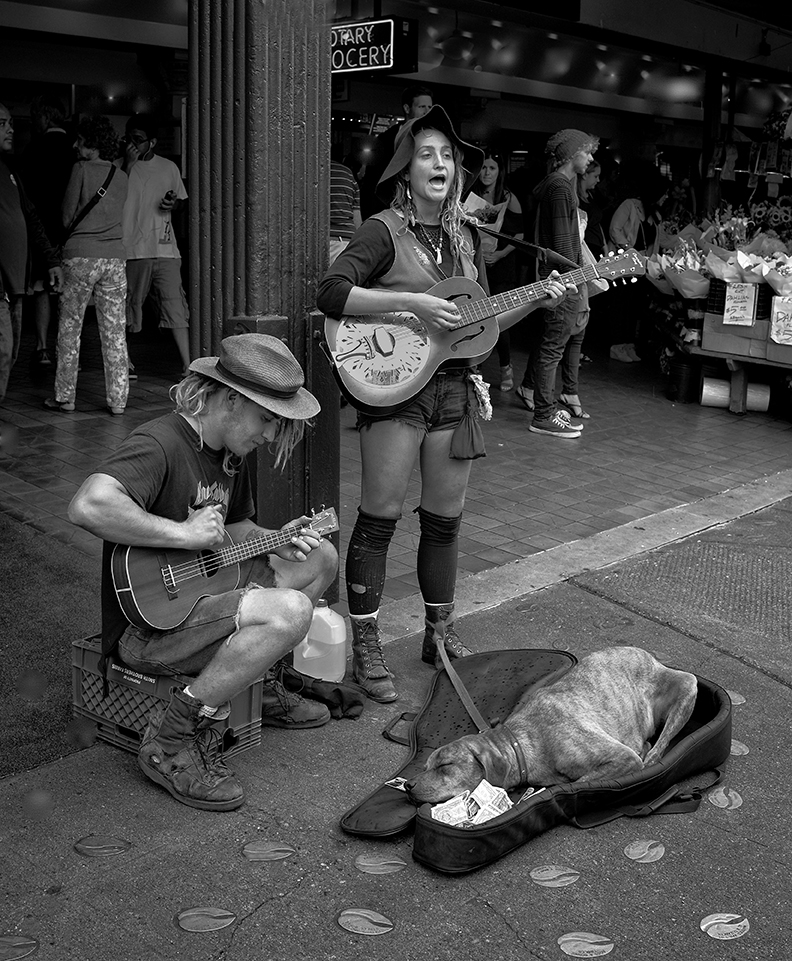 Dog Busker.jpg