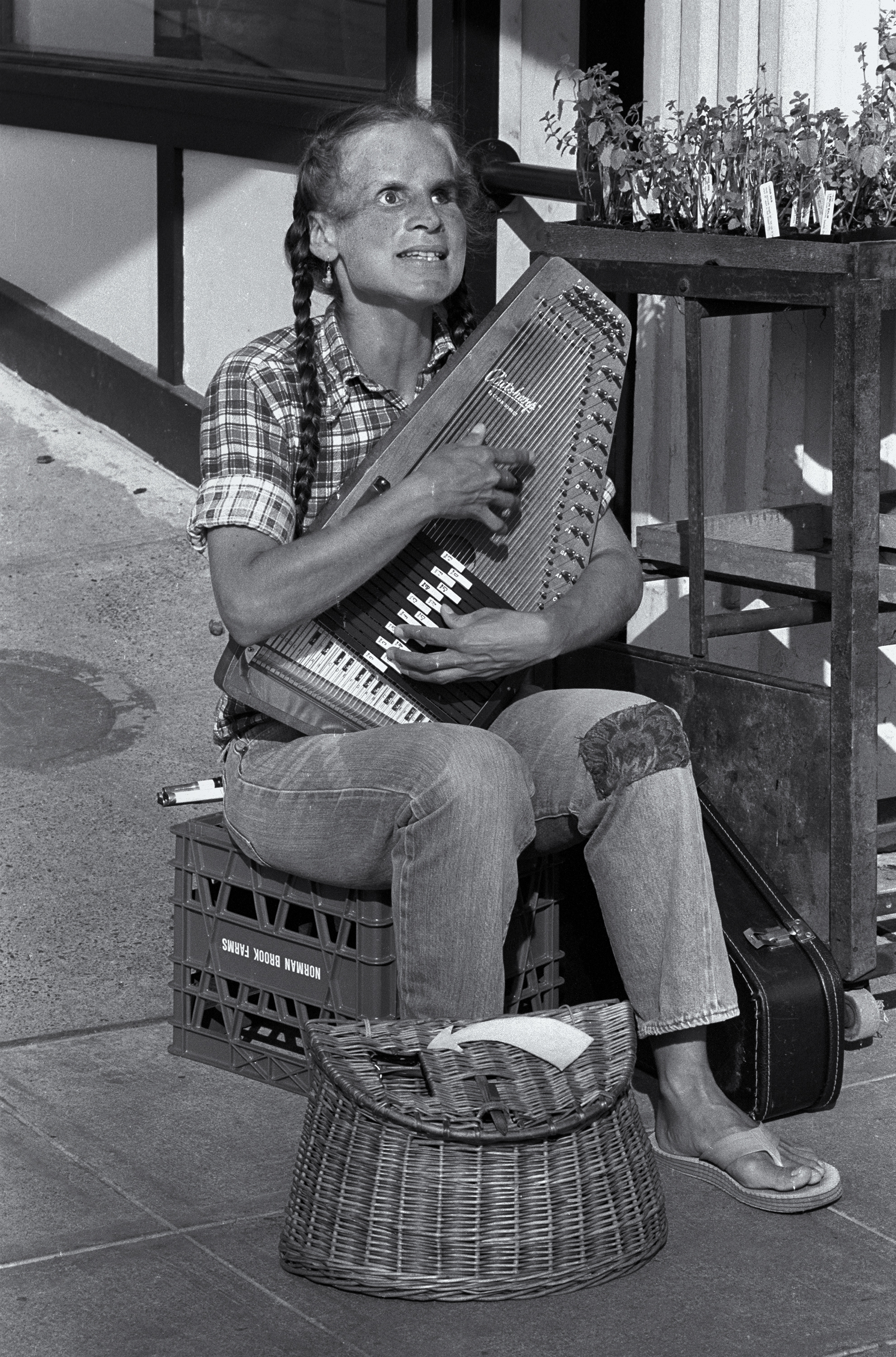 Blind zither player.jpg