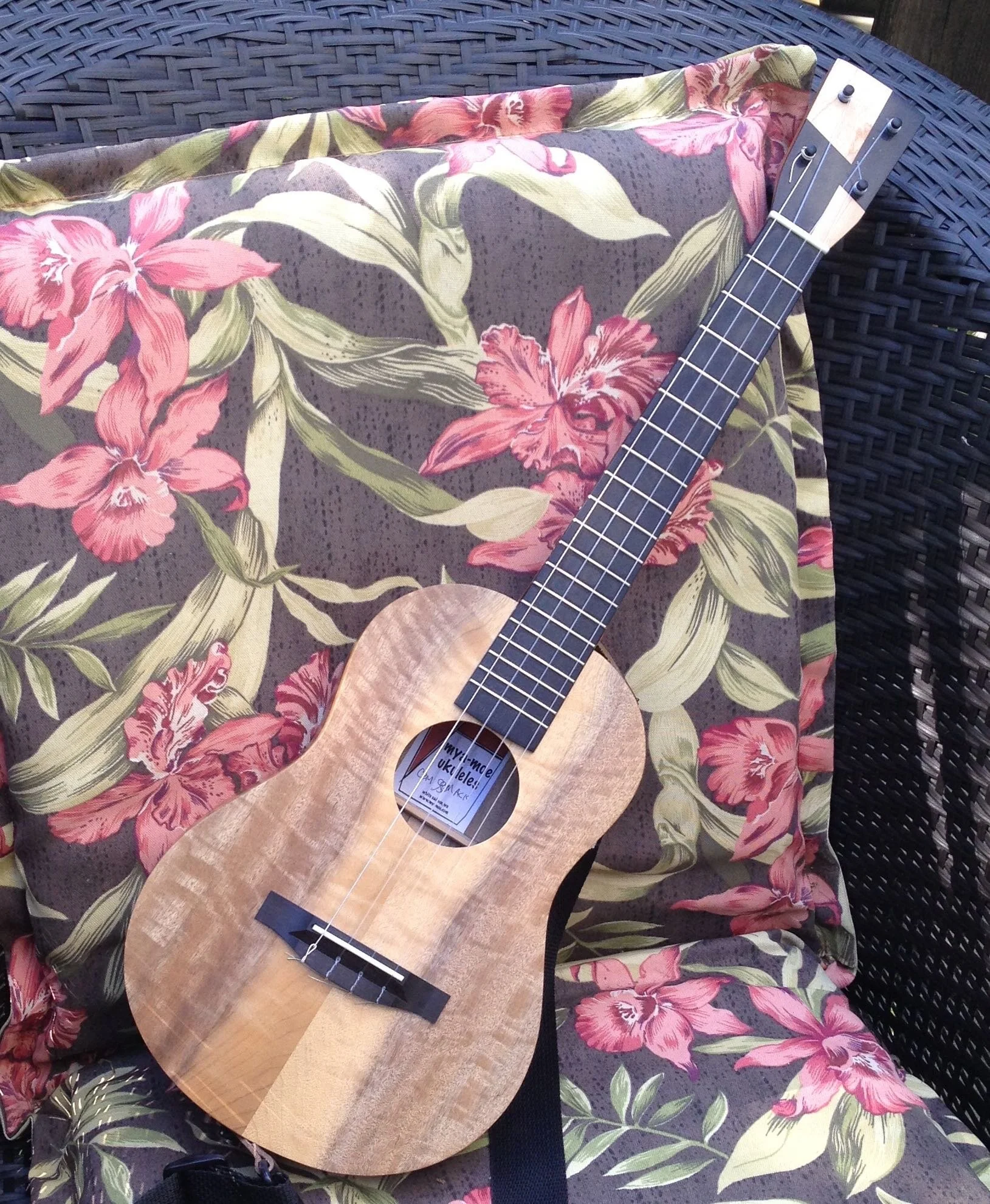 Alan's Uke cropped.jpg