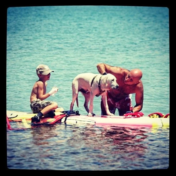 Surf for everyone is here