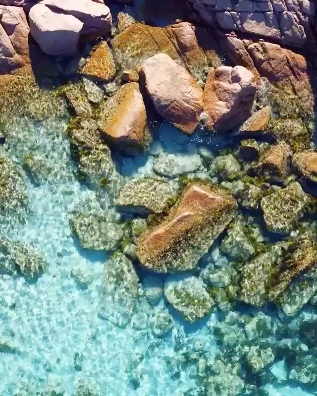 Summer Breeze