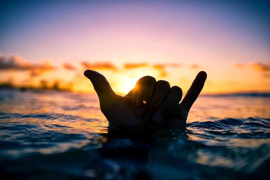 Myga Surf City – 26.10.2026