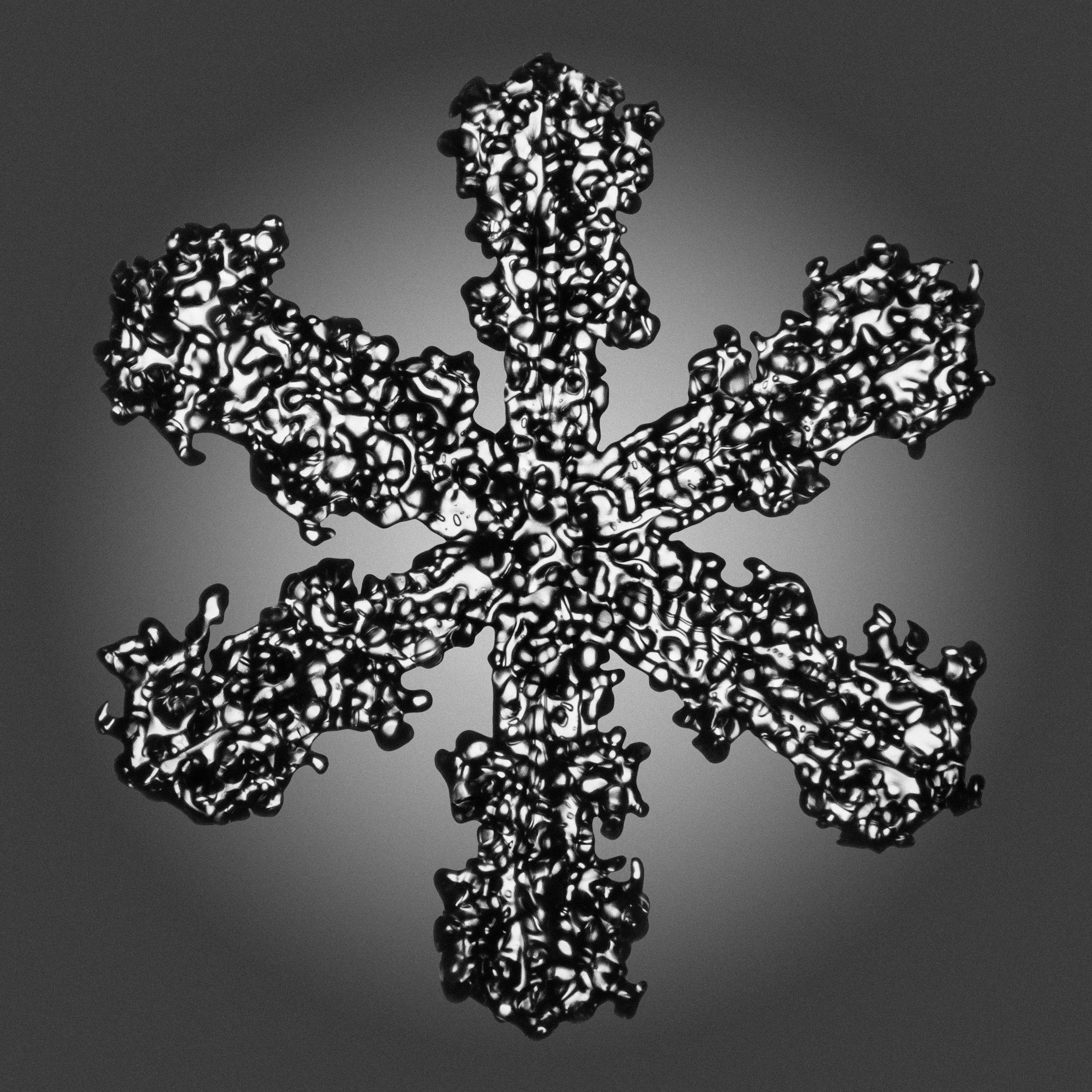 06_Snowflakes_40x40.jpg