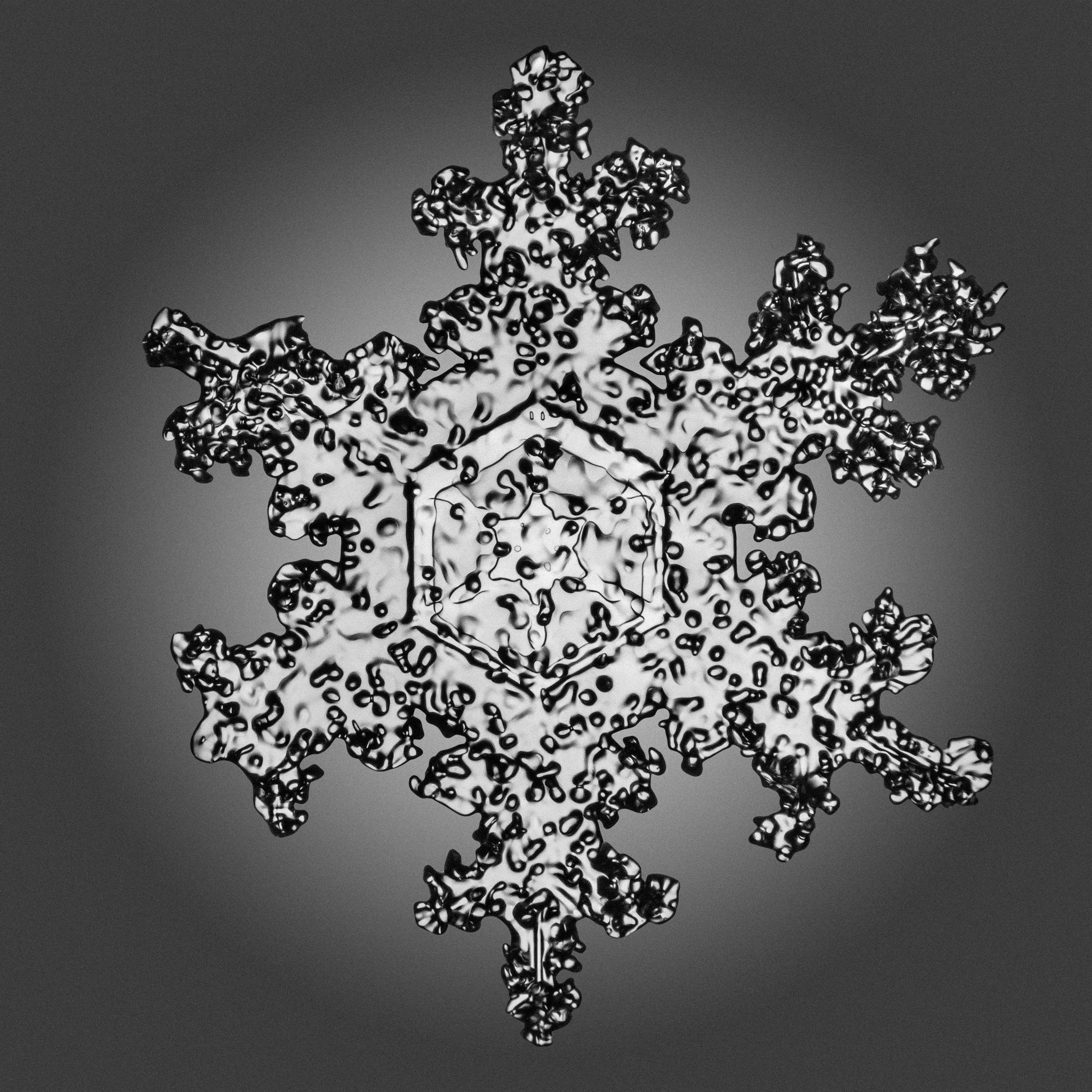 09_Snowflakes_40x40.jpg