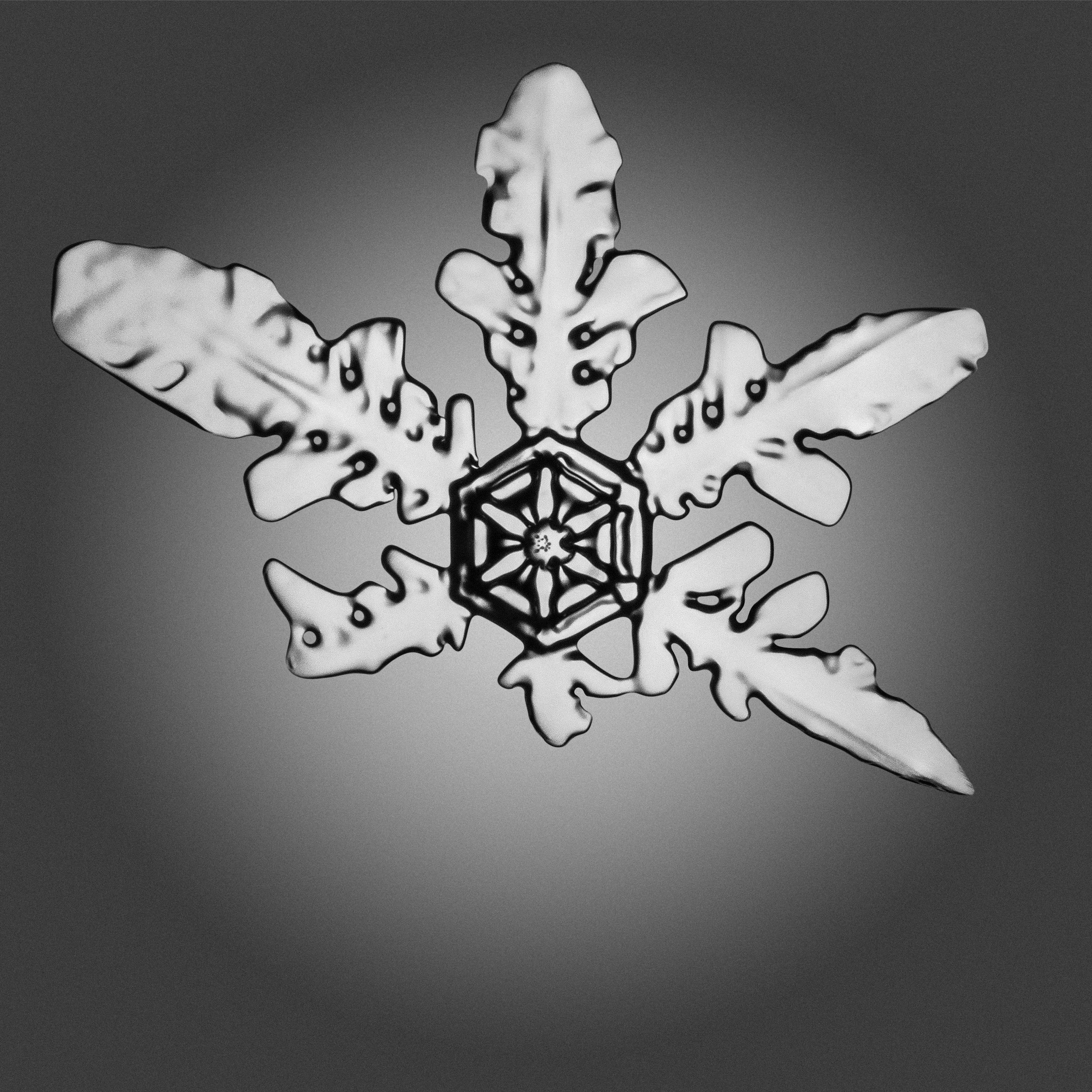 19_Snowflakes_40x40.jpg
