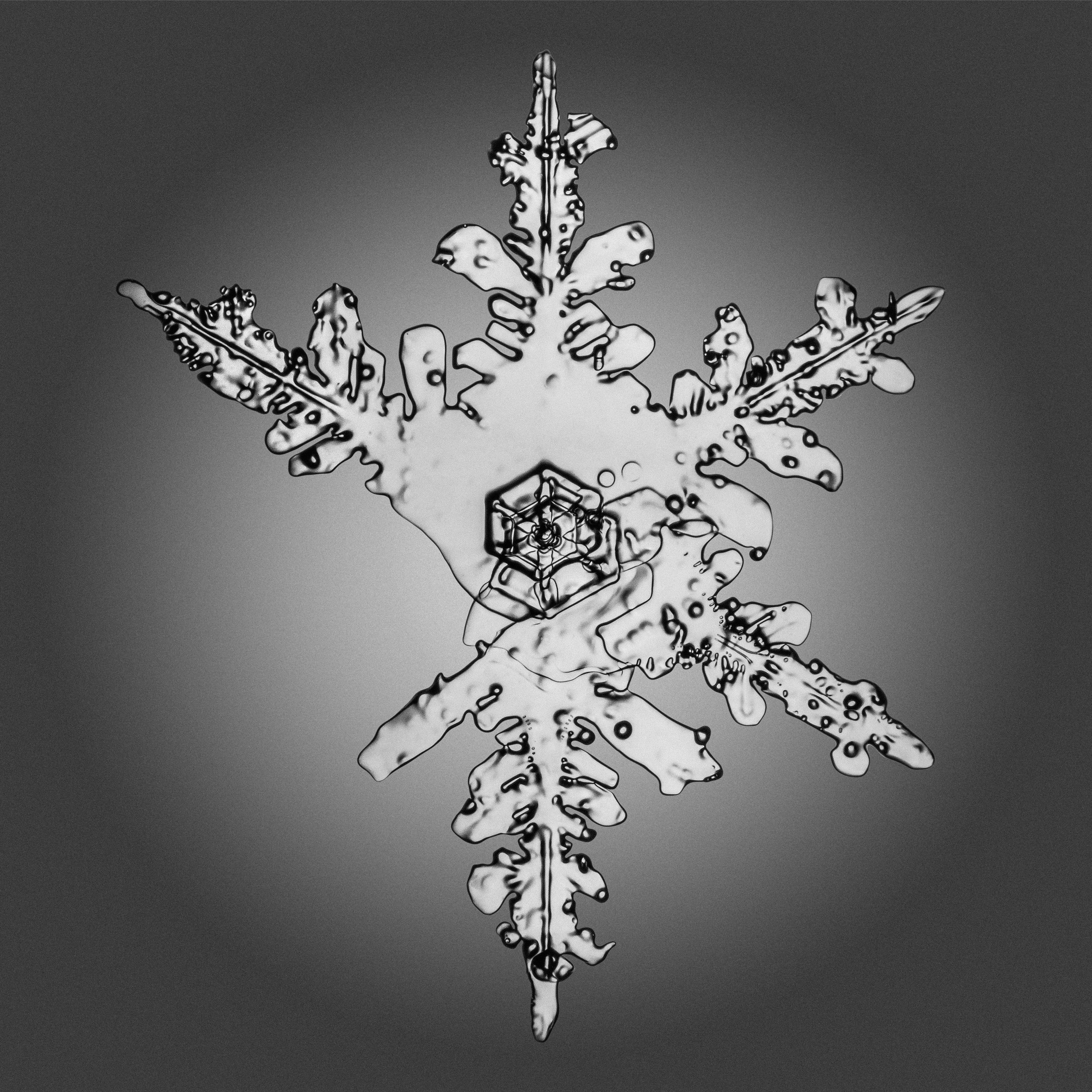 21_Snowflakes_40x40.jpg