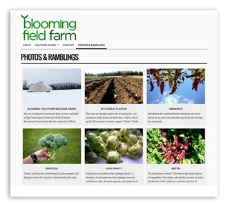 Blooming Field Farm, website and marketing materials