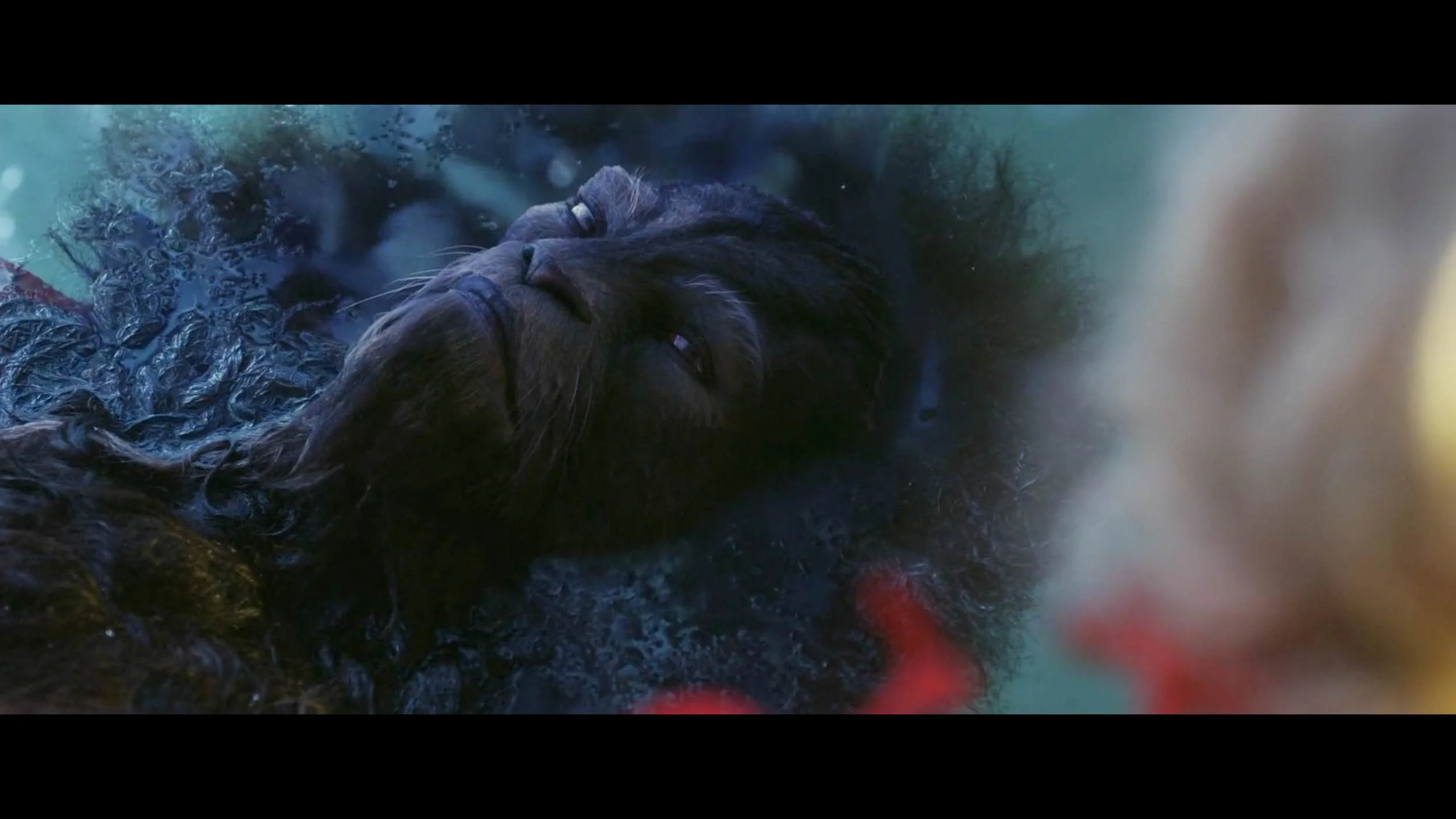 BEL_032Screen Shot 2015-03-19 at 22.46.jpeg