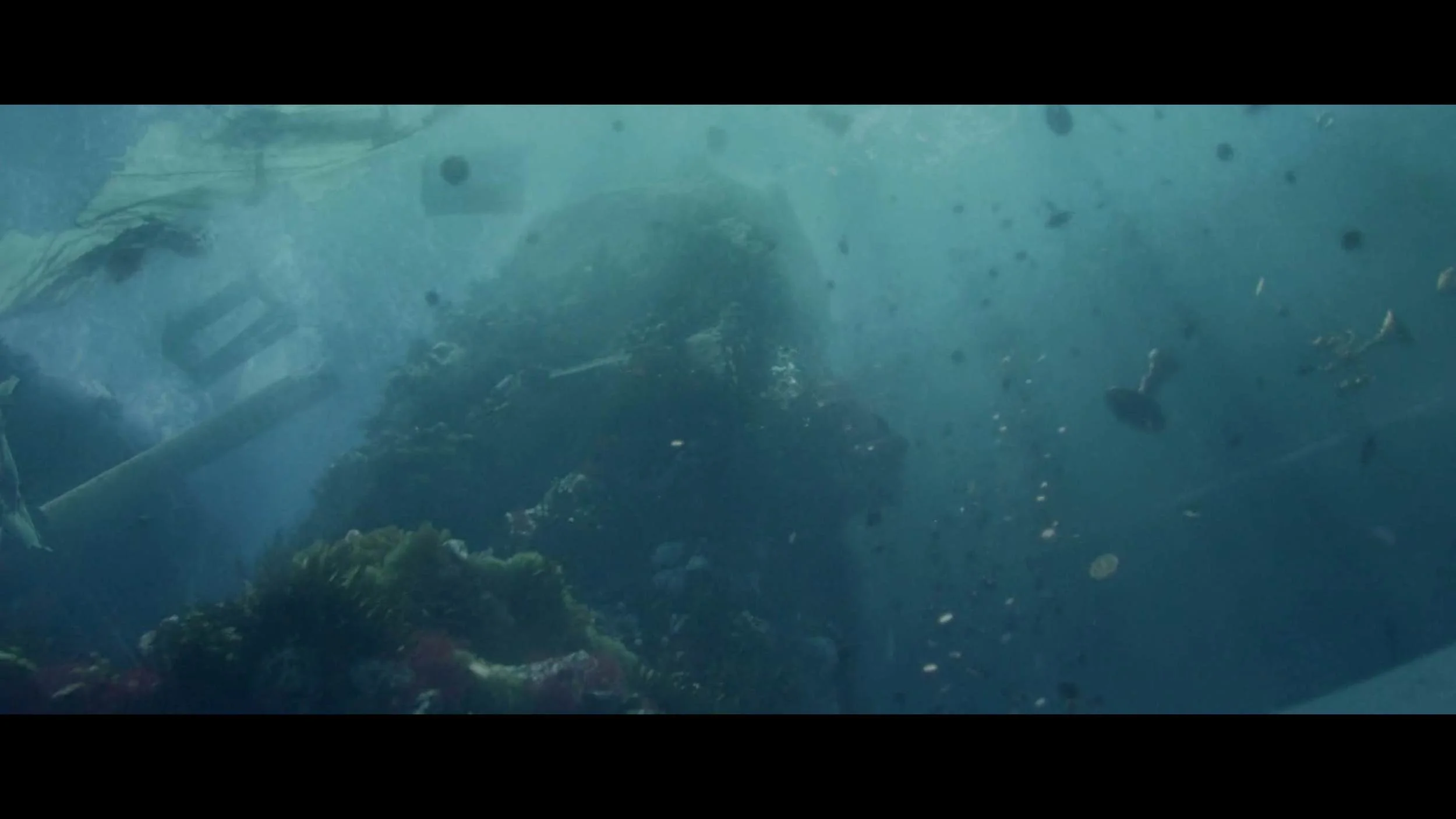 BEL_002Screen Shot 2015-03-19 at 22.33.jpeg