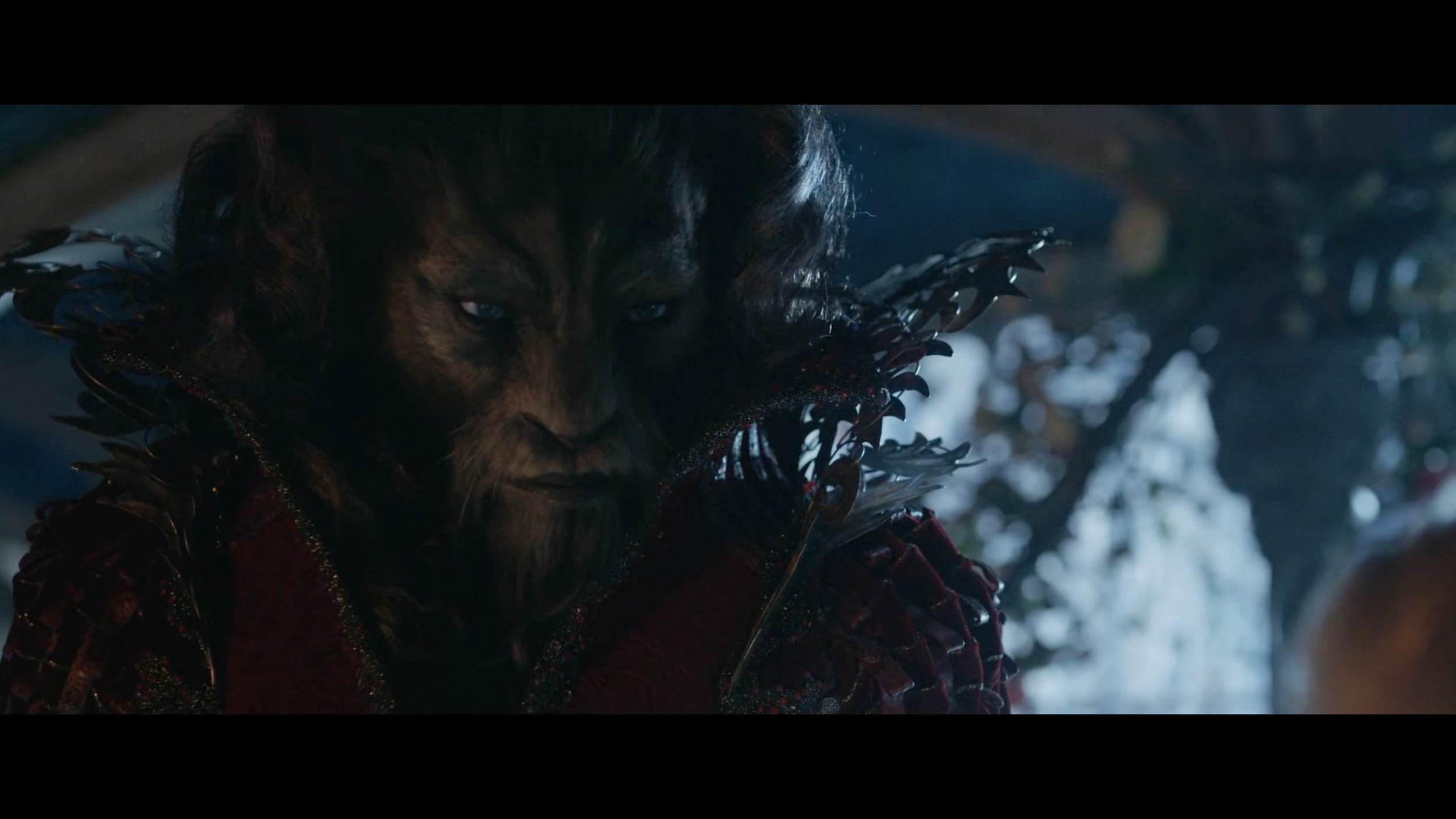 BEL_026Screen Shot 2015-03-19 at 22.43.jpeg