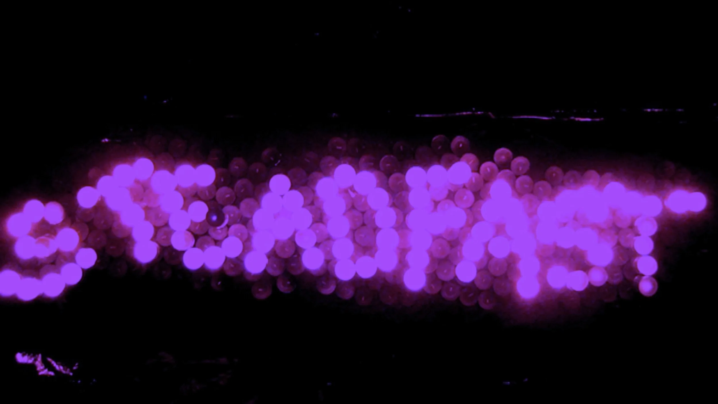 HELEN_008Screen Shot 2015-03-21 at 22.46.jpeg