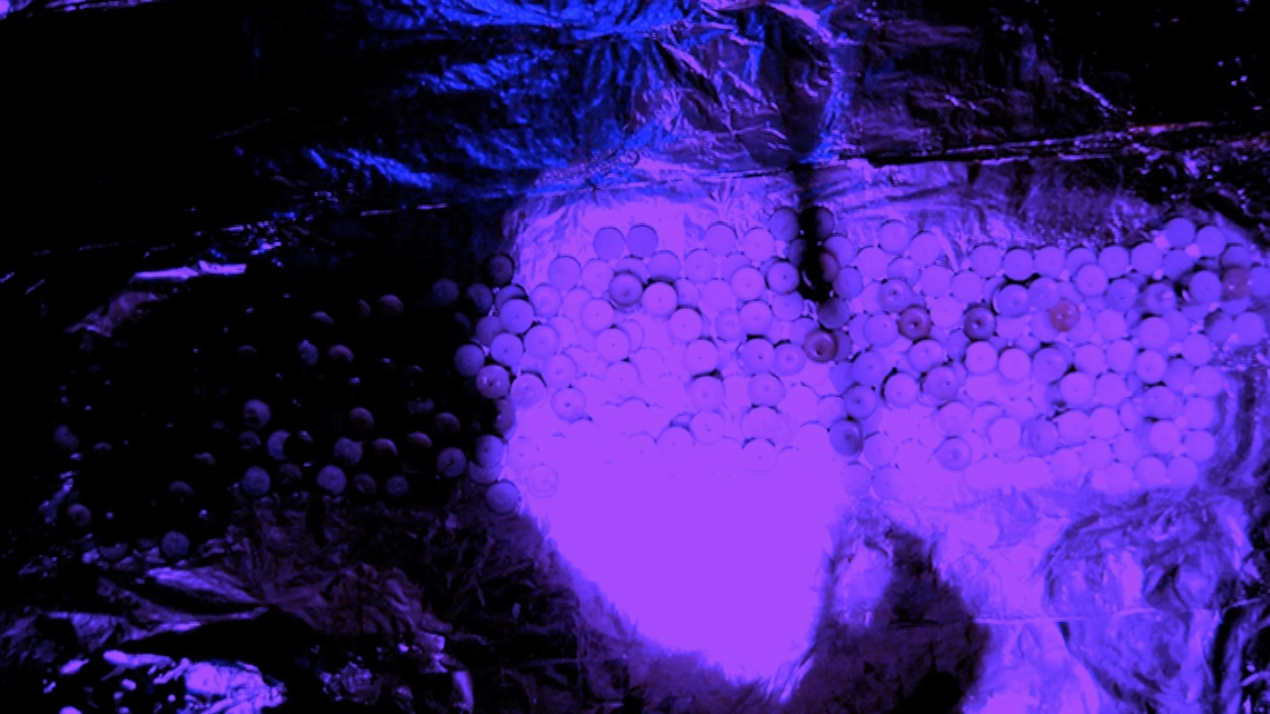 HELEN_007Screen Shot 2015-03-21 at 22.46.jpeg