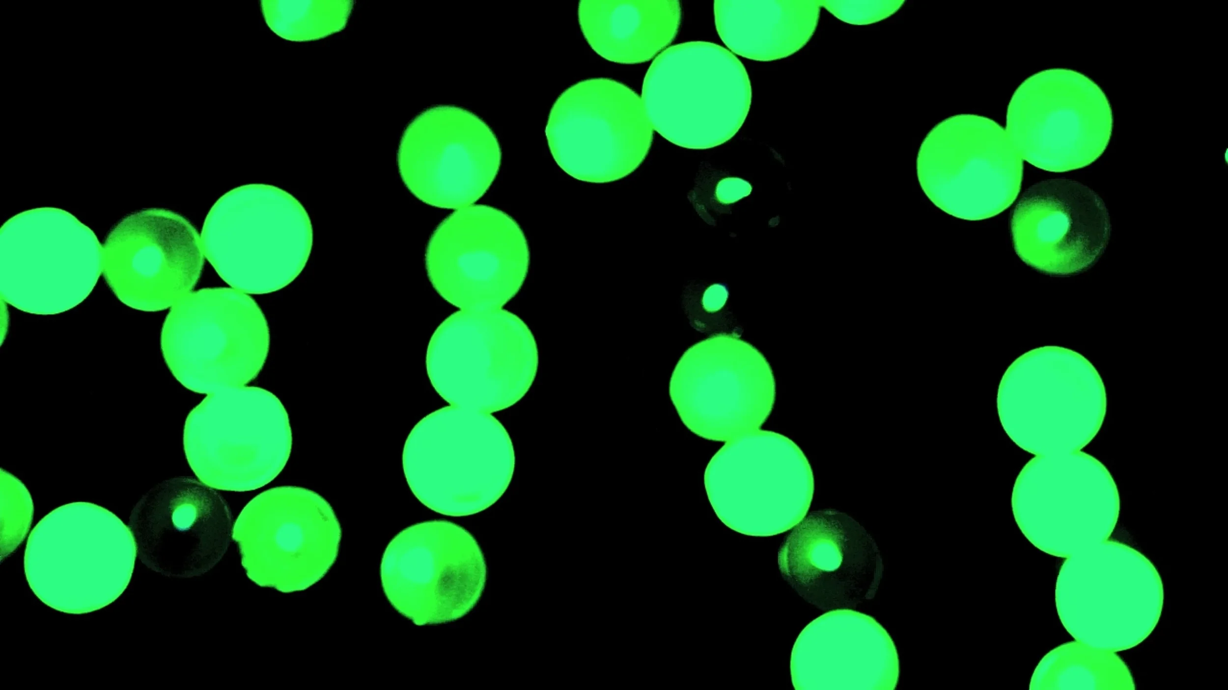 HELEN_020Screen Shot 2015-03-21 at 22.49.jpeg