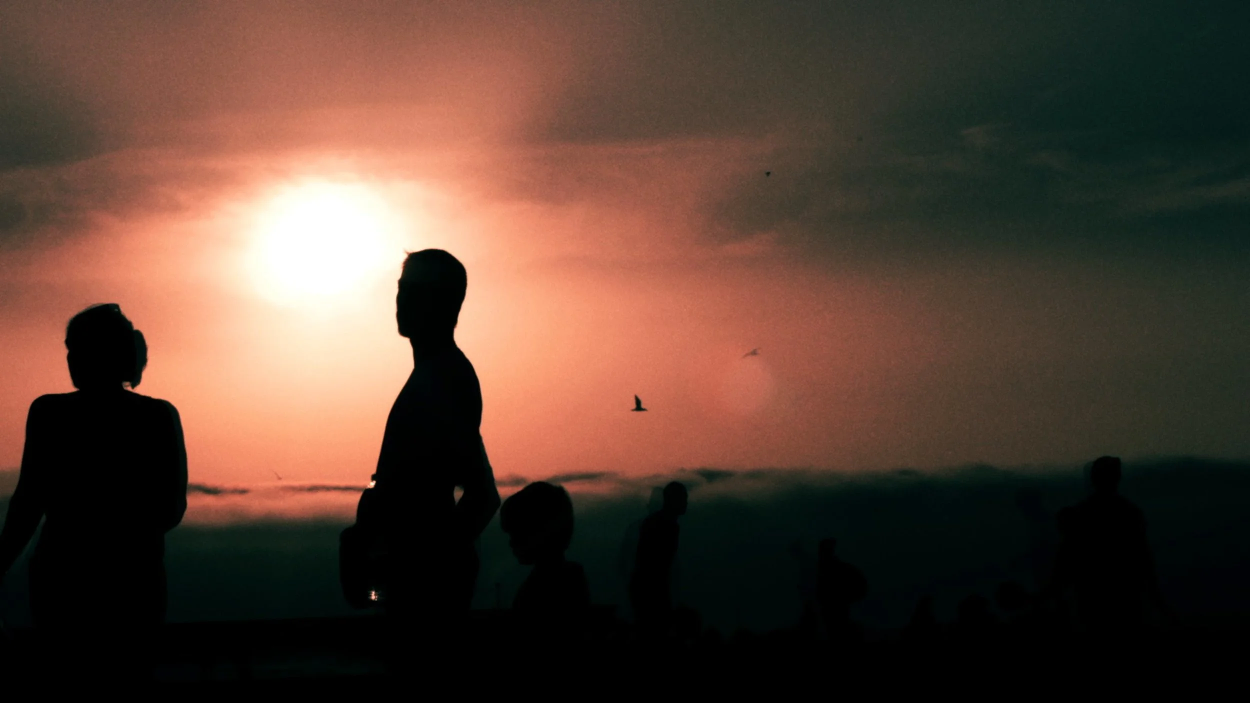 PENTA_020Screen Shot 2015-03-24 at 02.01.jpeg