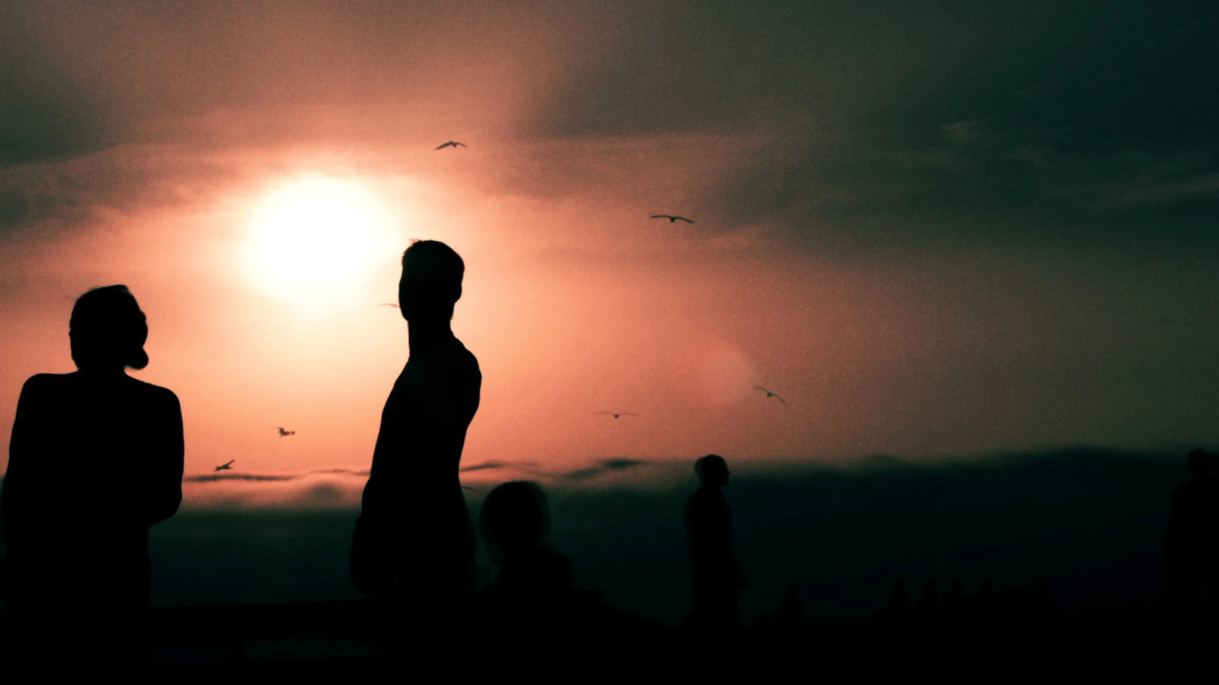 PENTA_023Screen Shot 2015-03-24 at 02.01.jpeg