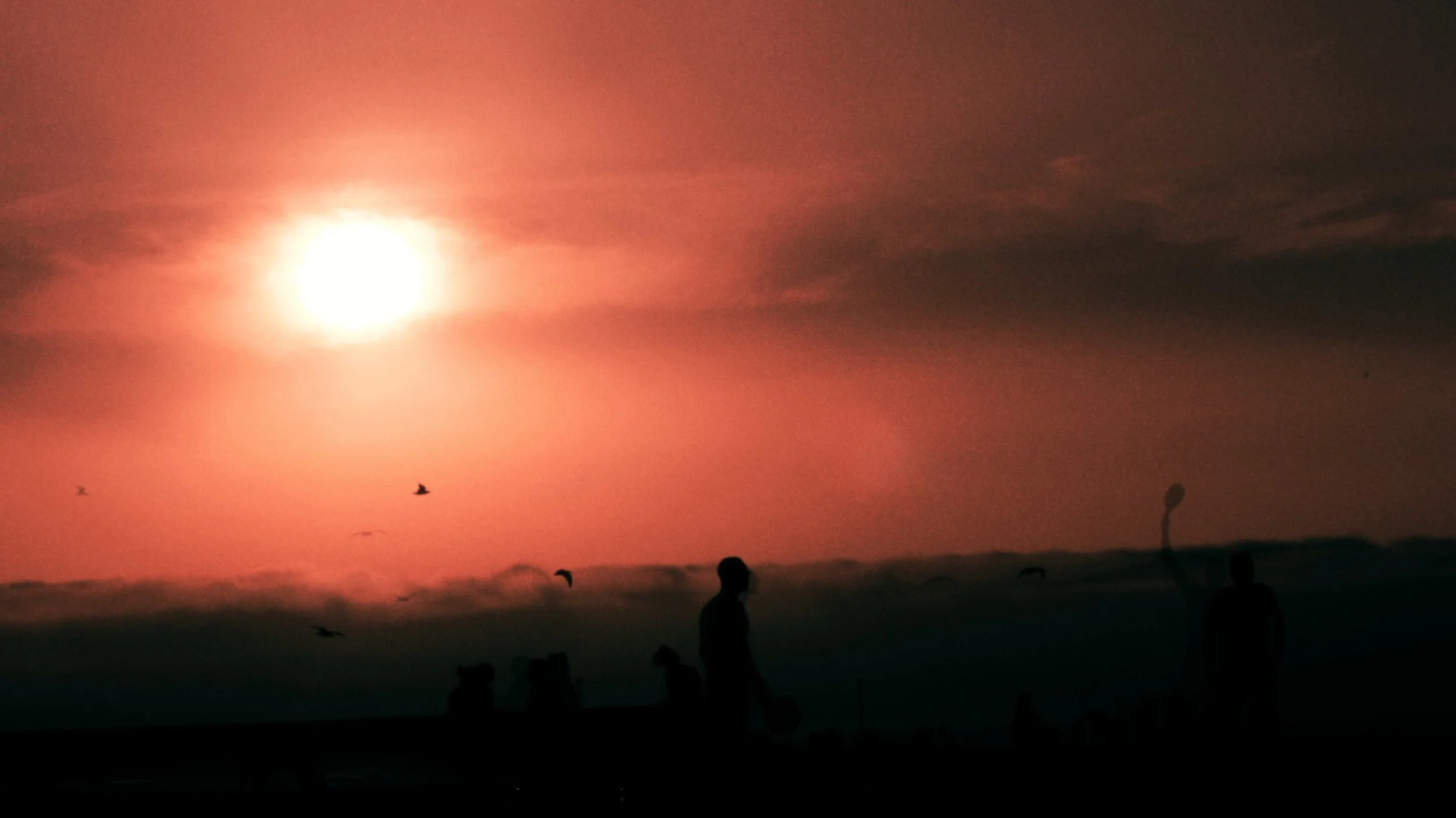 PENTA_015Screen Shot 2015-03-24 at 02.00.jpeg