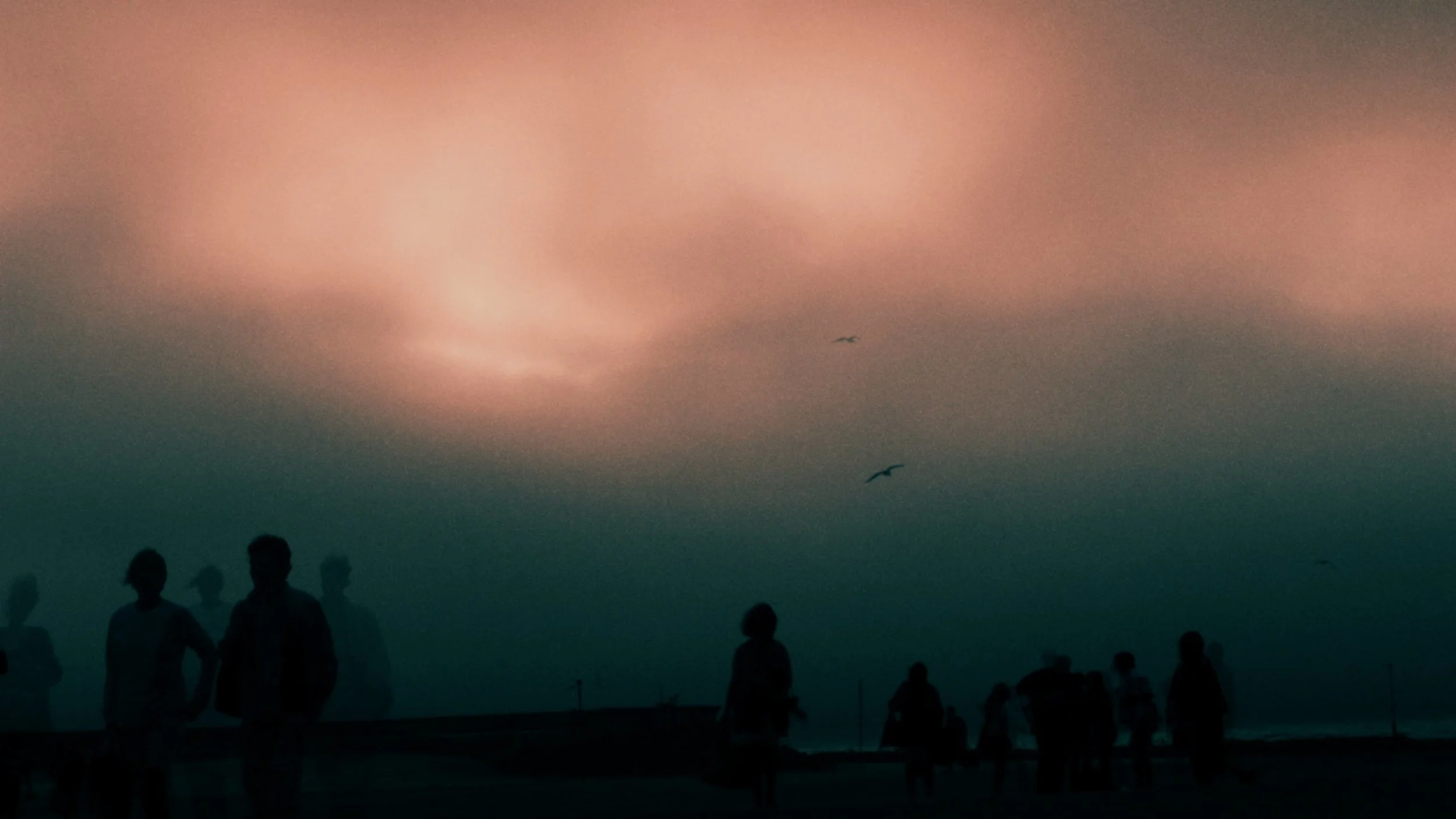 PENTA_051Screen Shot 2015-03-24 at 02.06.jpeg