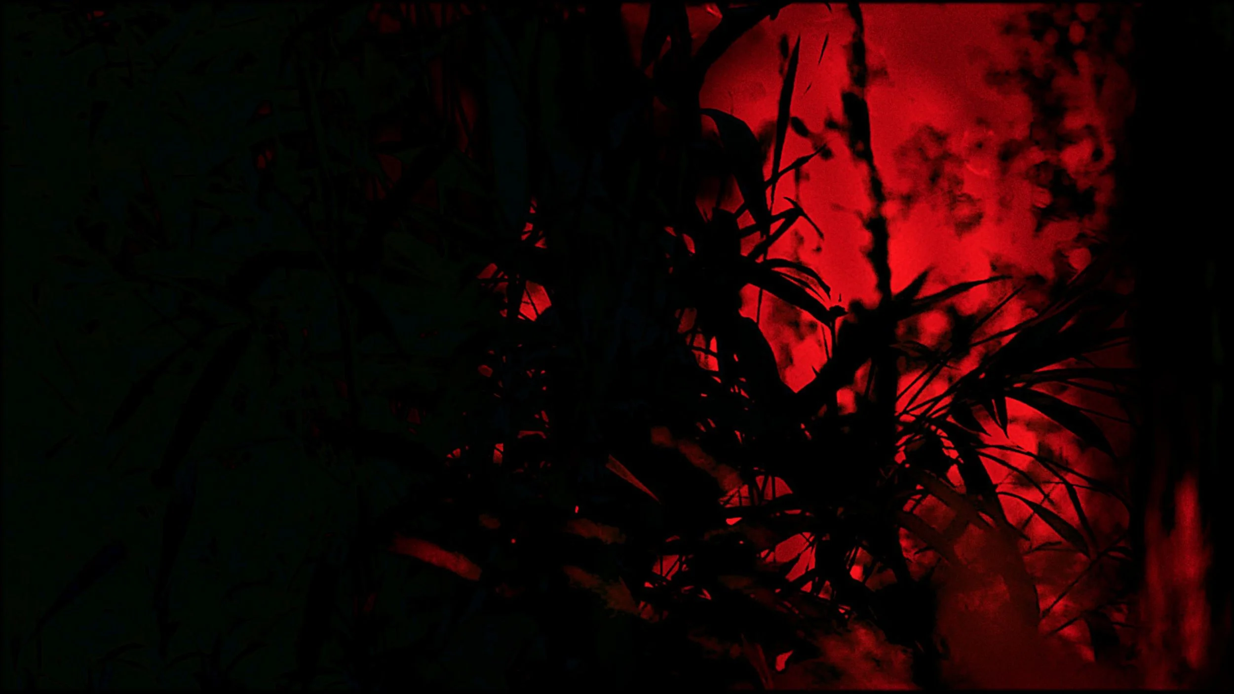 LIBER_010Screen Shot 2015-03-28 at 23.28.jpeg