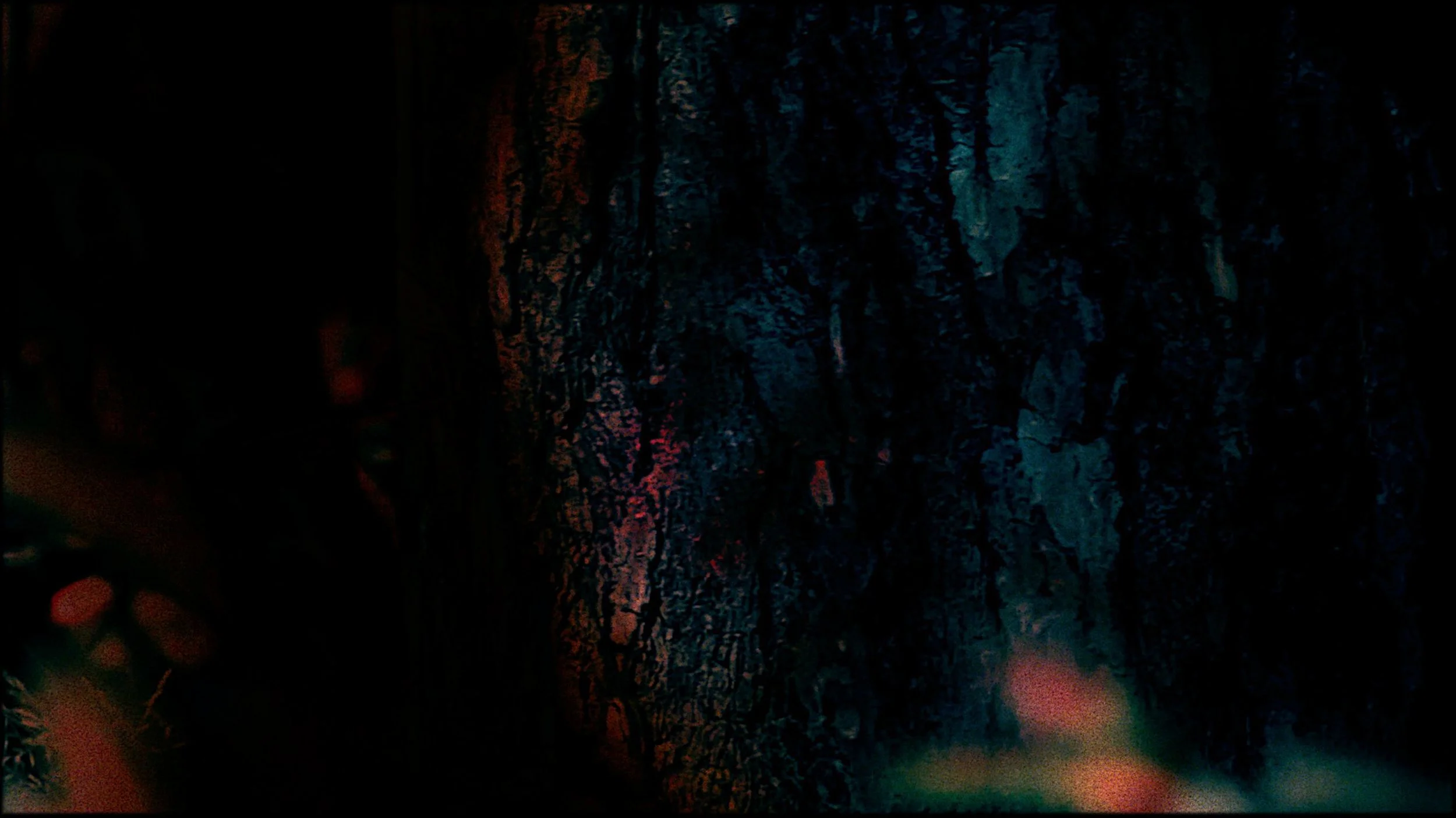 LIBER_011Screen Shot 2015-03-28 at 23.28.jpeg