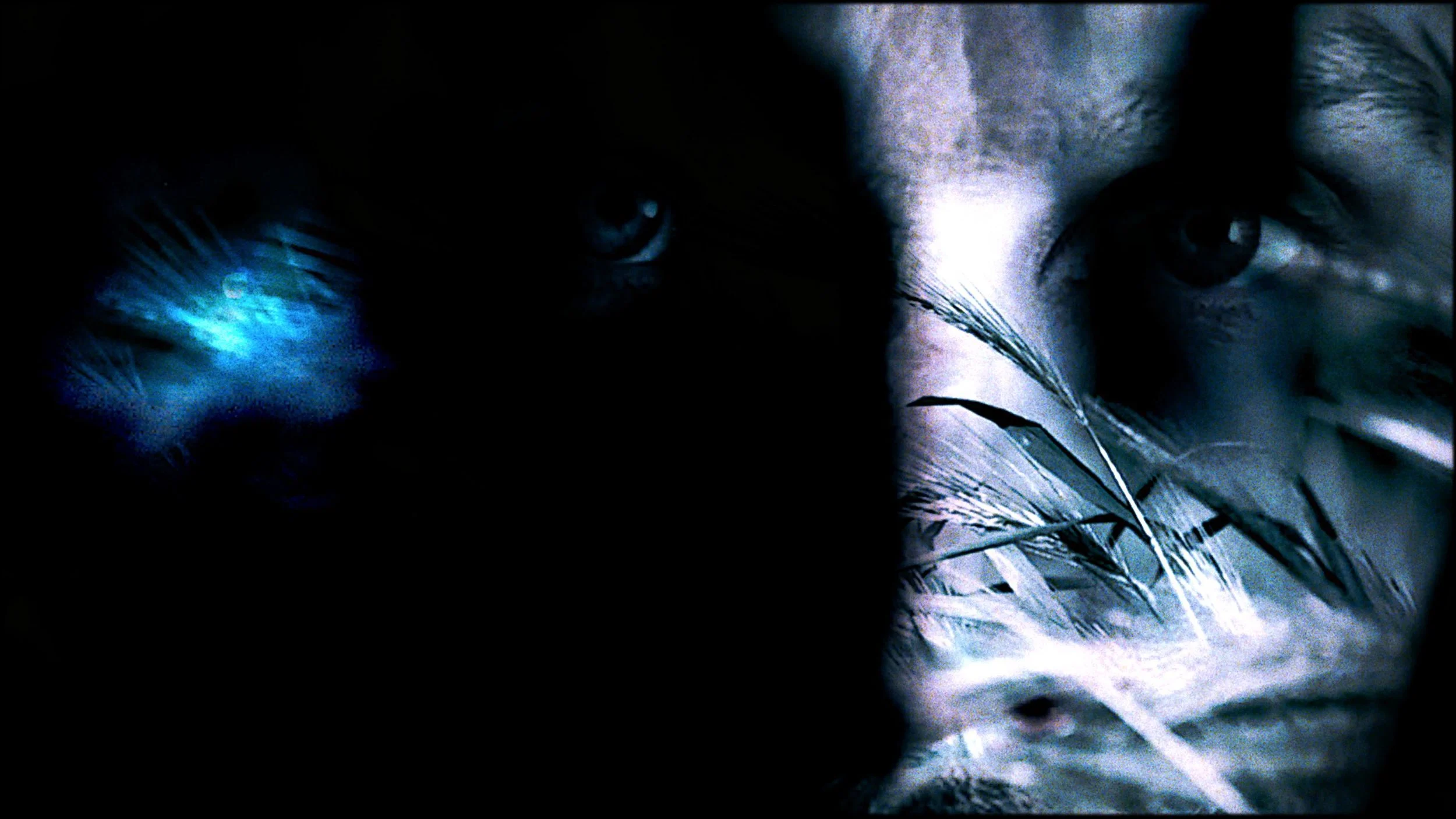 LIBER_015Screen Shot 2015-03-28 at 23.32.jpeg