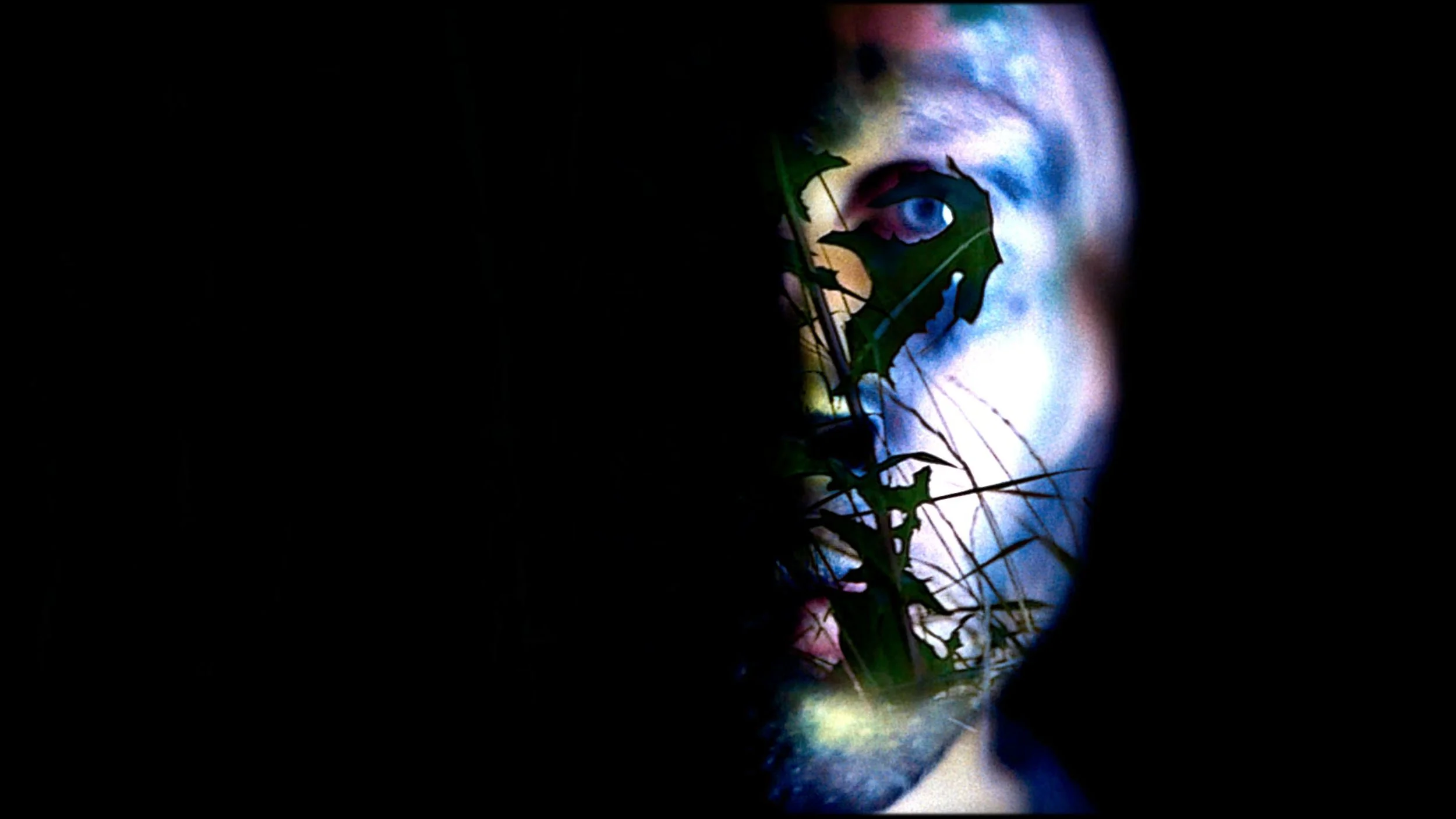 LIBER_001Screen Shot 2015-03-28 at 23.24.jpeg