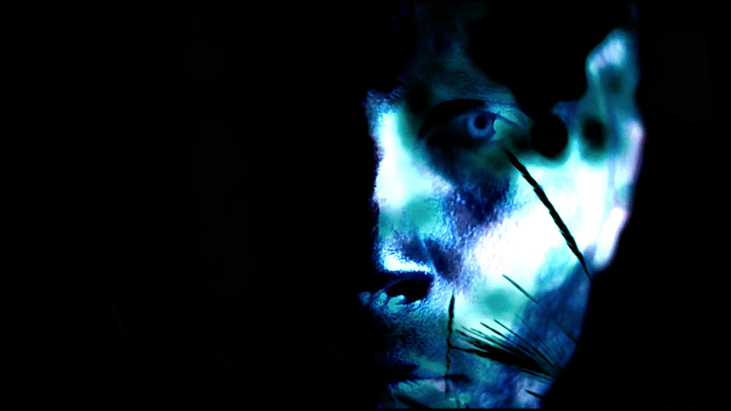 LIBER_005Screen Shot 2015-03-28 at 23.26.jpeg