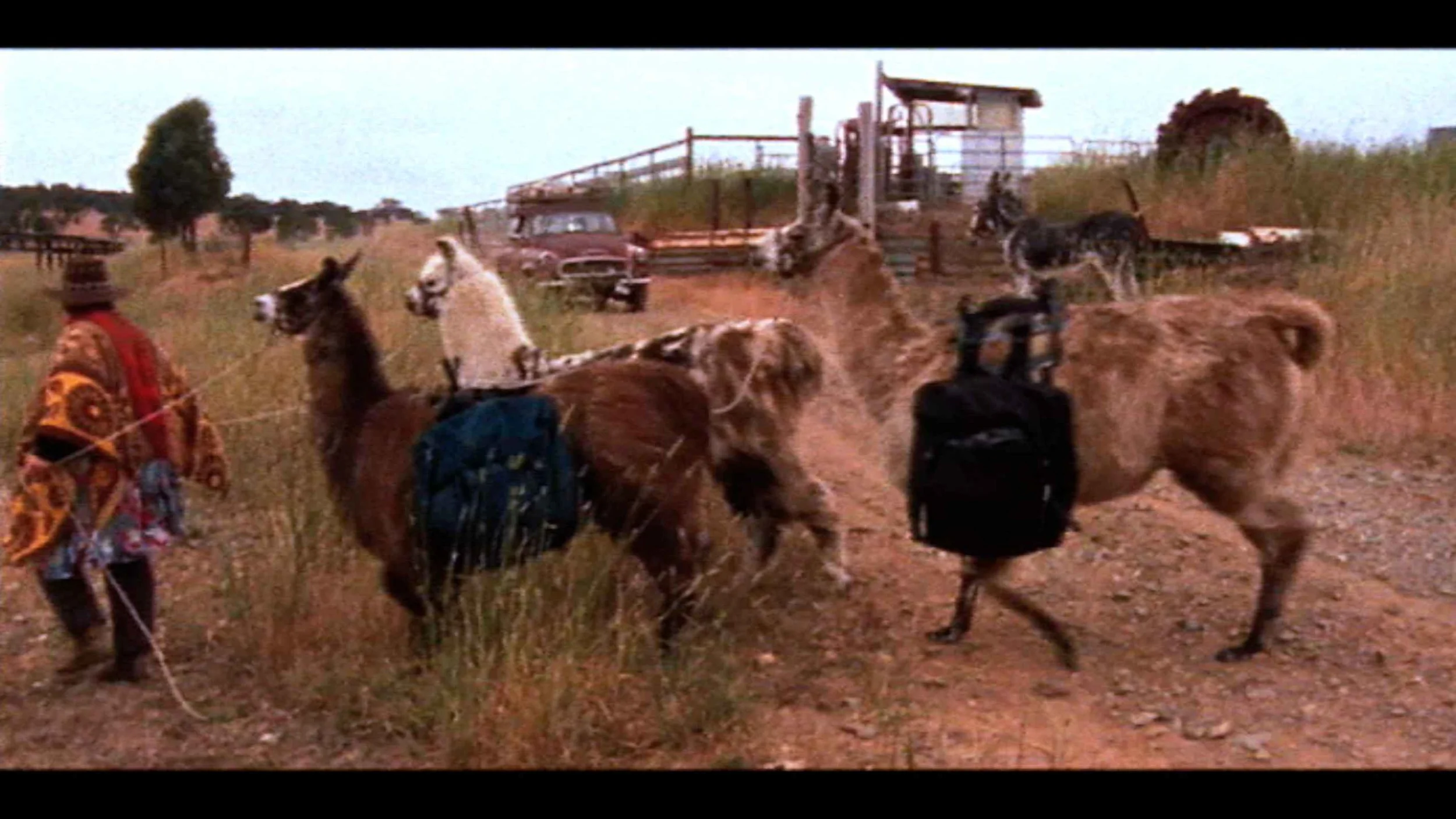 NTL_010Screen Shot 2015-03-29 at 01.53.jpeg