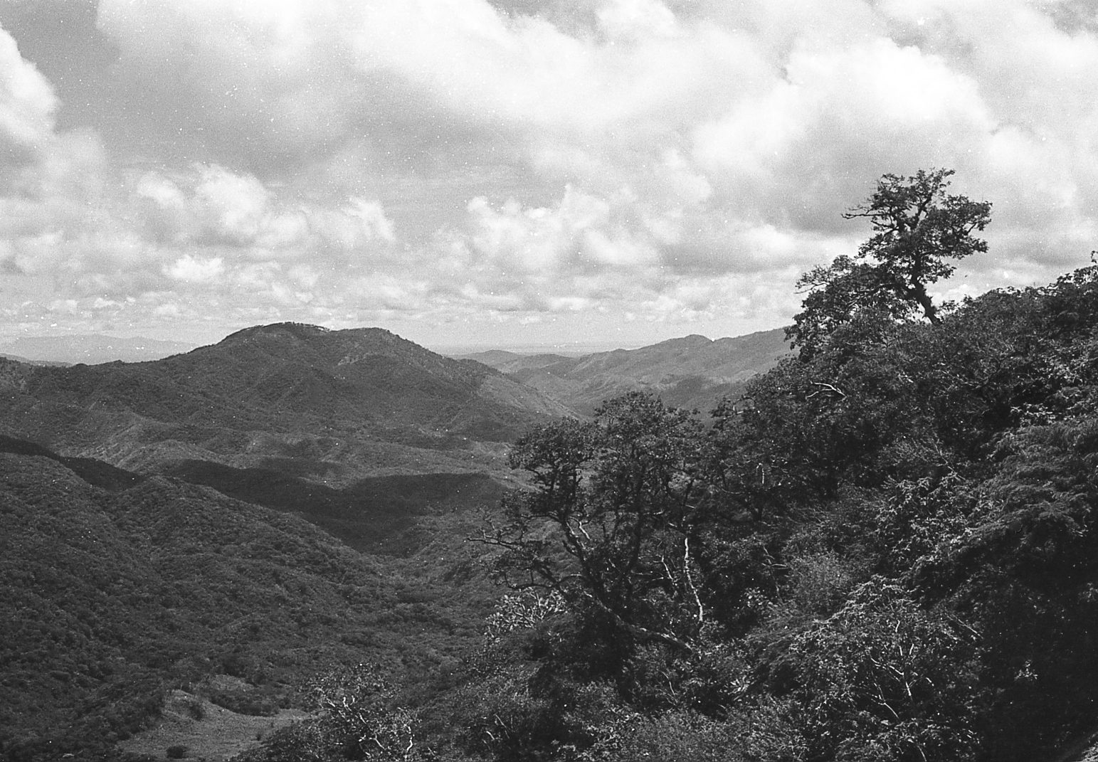img302-Edit.jpeg
