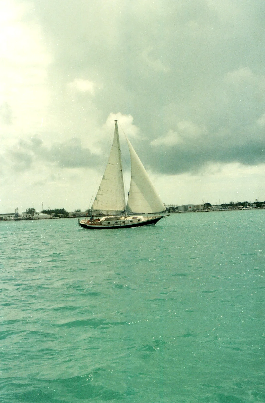 img464.jpg