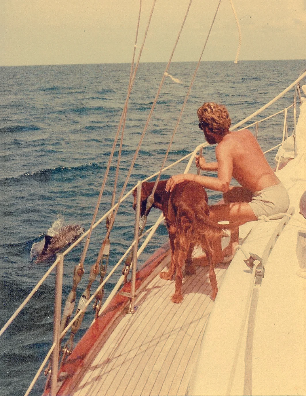 Dolphin & Ralph-2.jpg