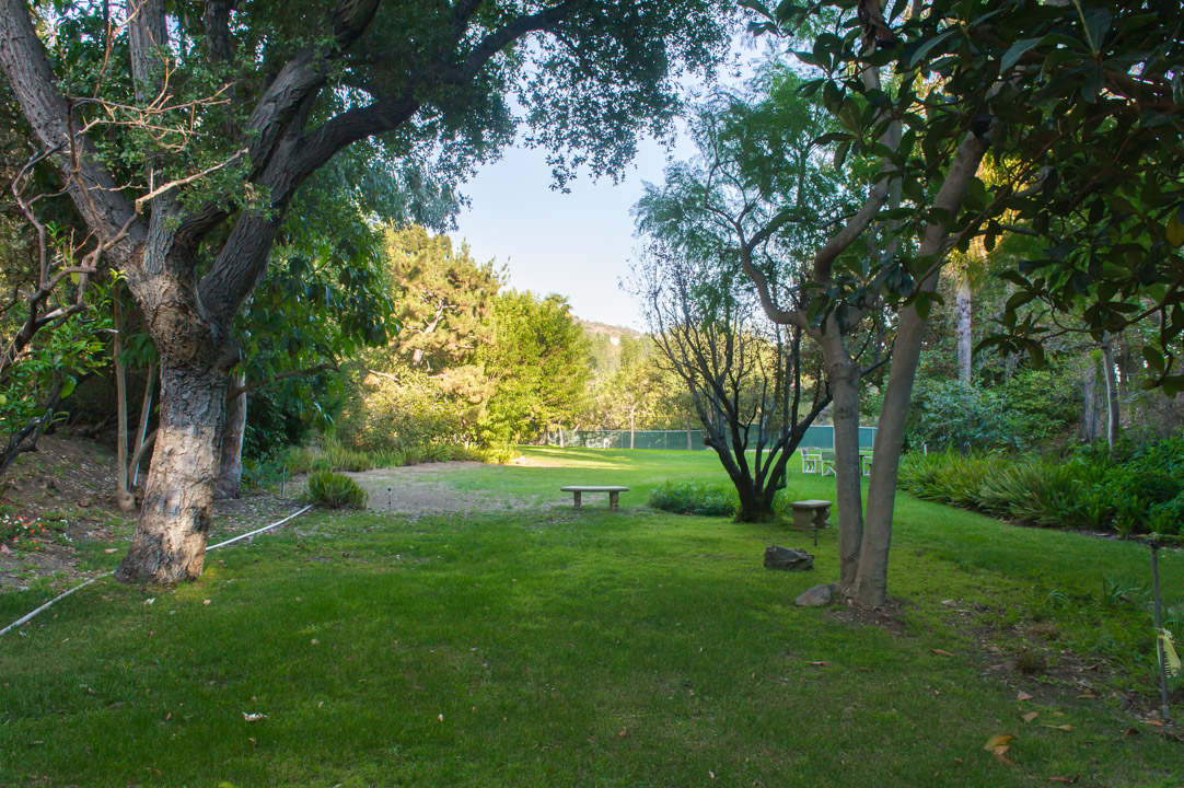 Site View - Near back of lot looking towards street