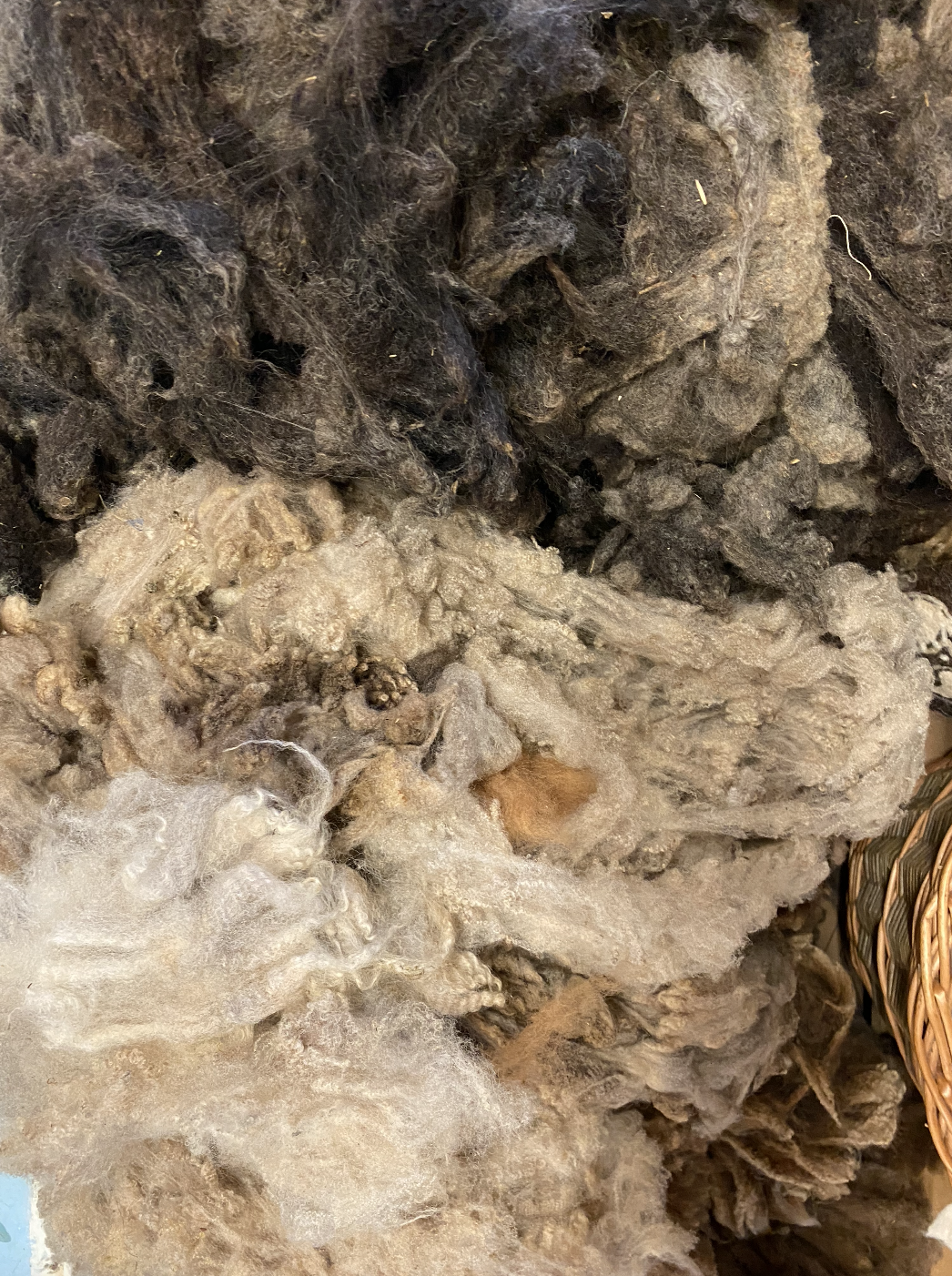 Screen Shot 2021-07-27 at 1.06.22 PM.png