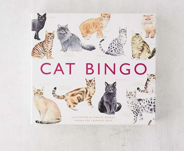 catbingo.jpg