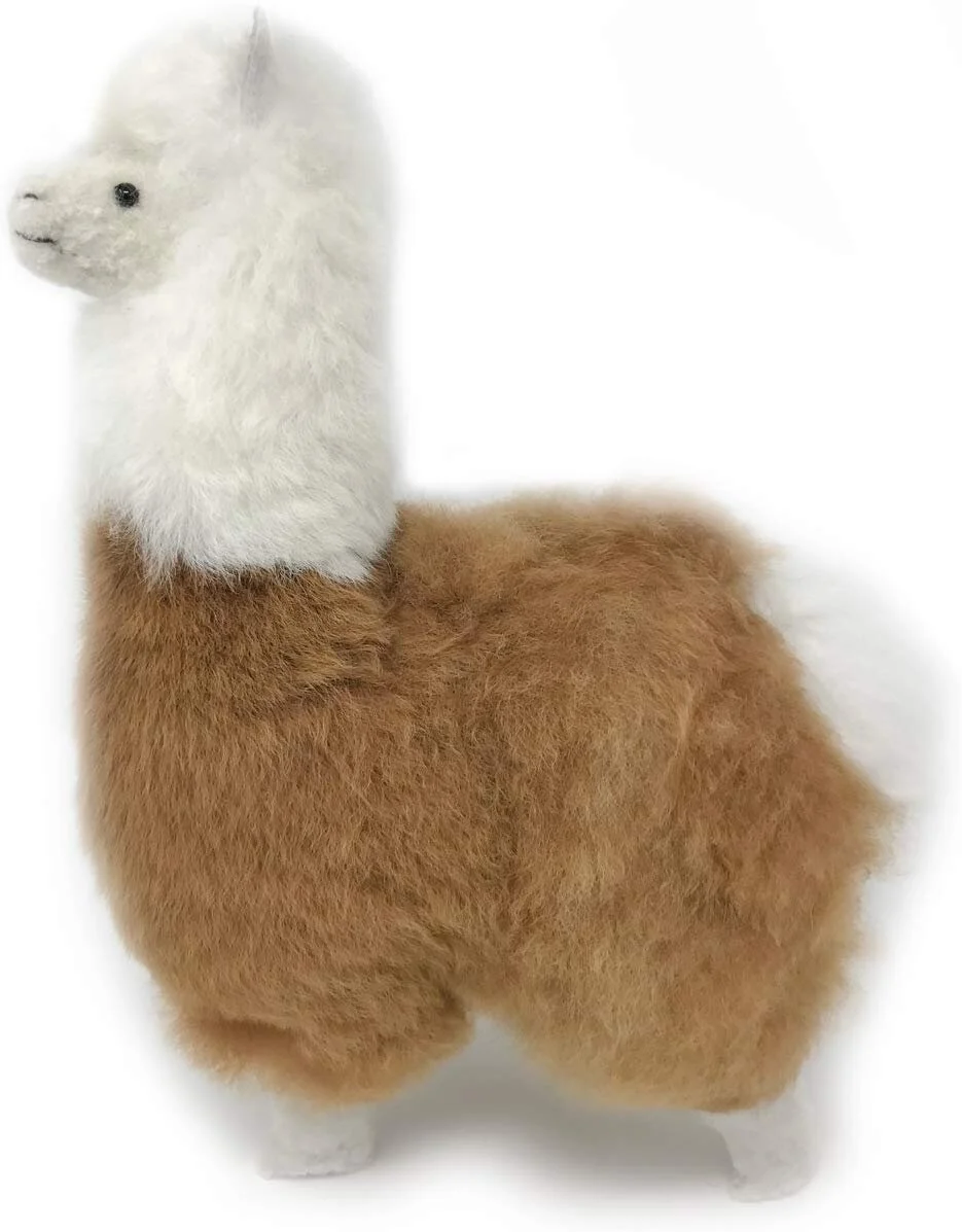 COMING SOON: STUFFED TO HERE