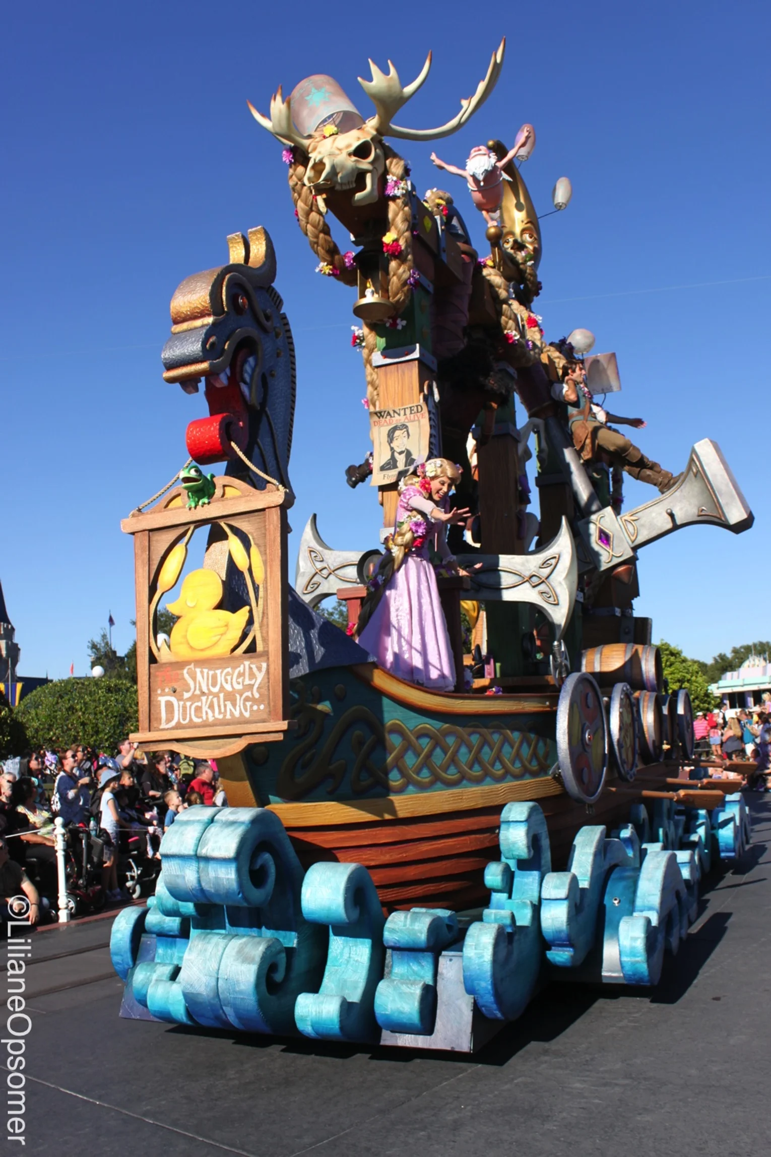 Tangled Float-Photo by Liliane Opsomer (2).jpeg
