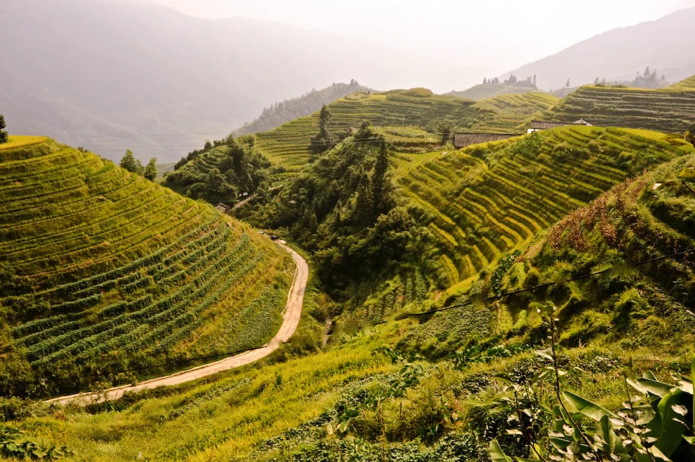 Terraced Rice Fields, Longsheng, Guangxi, China