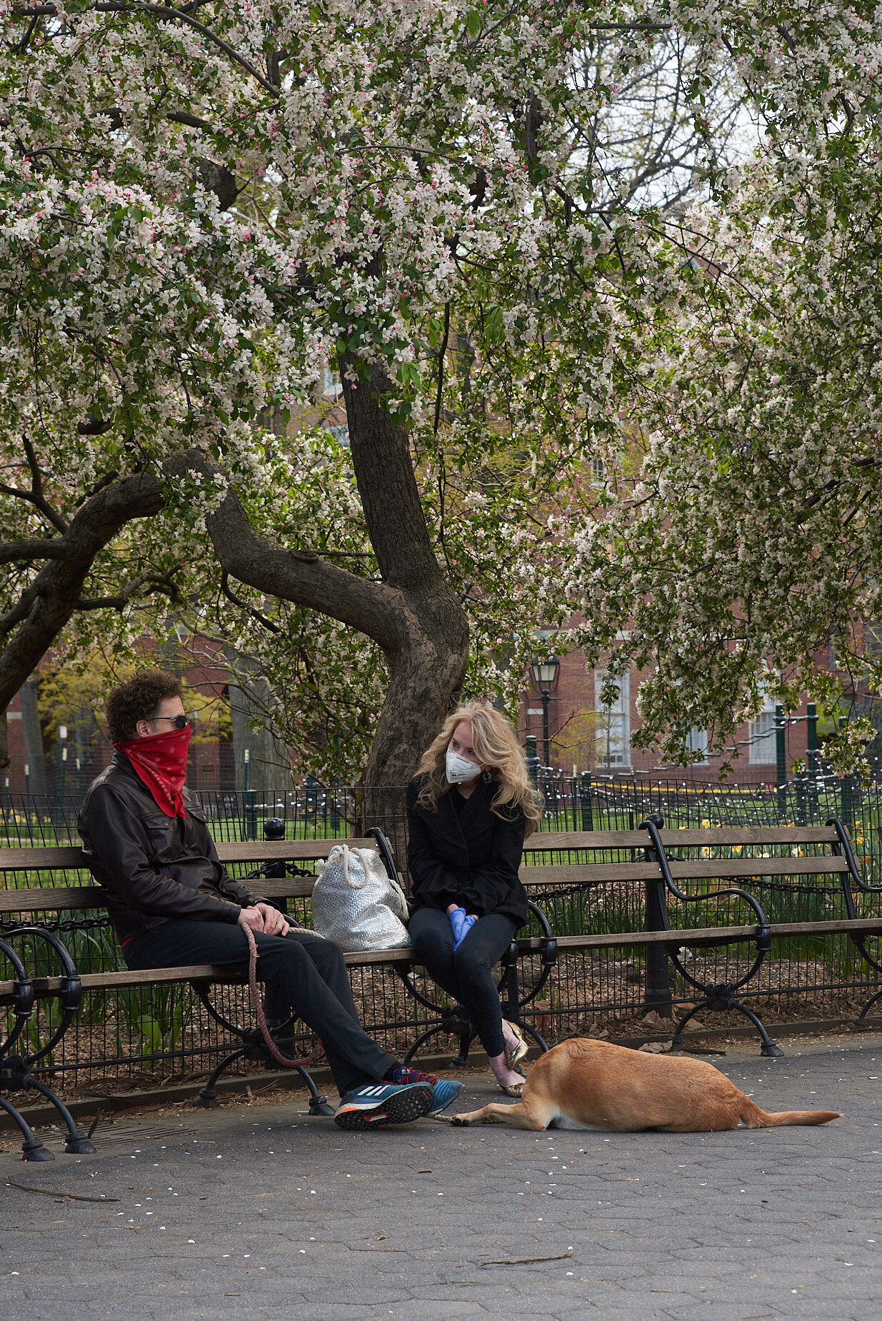  Washington Sq. Park 