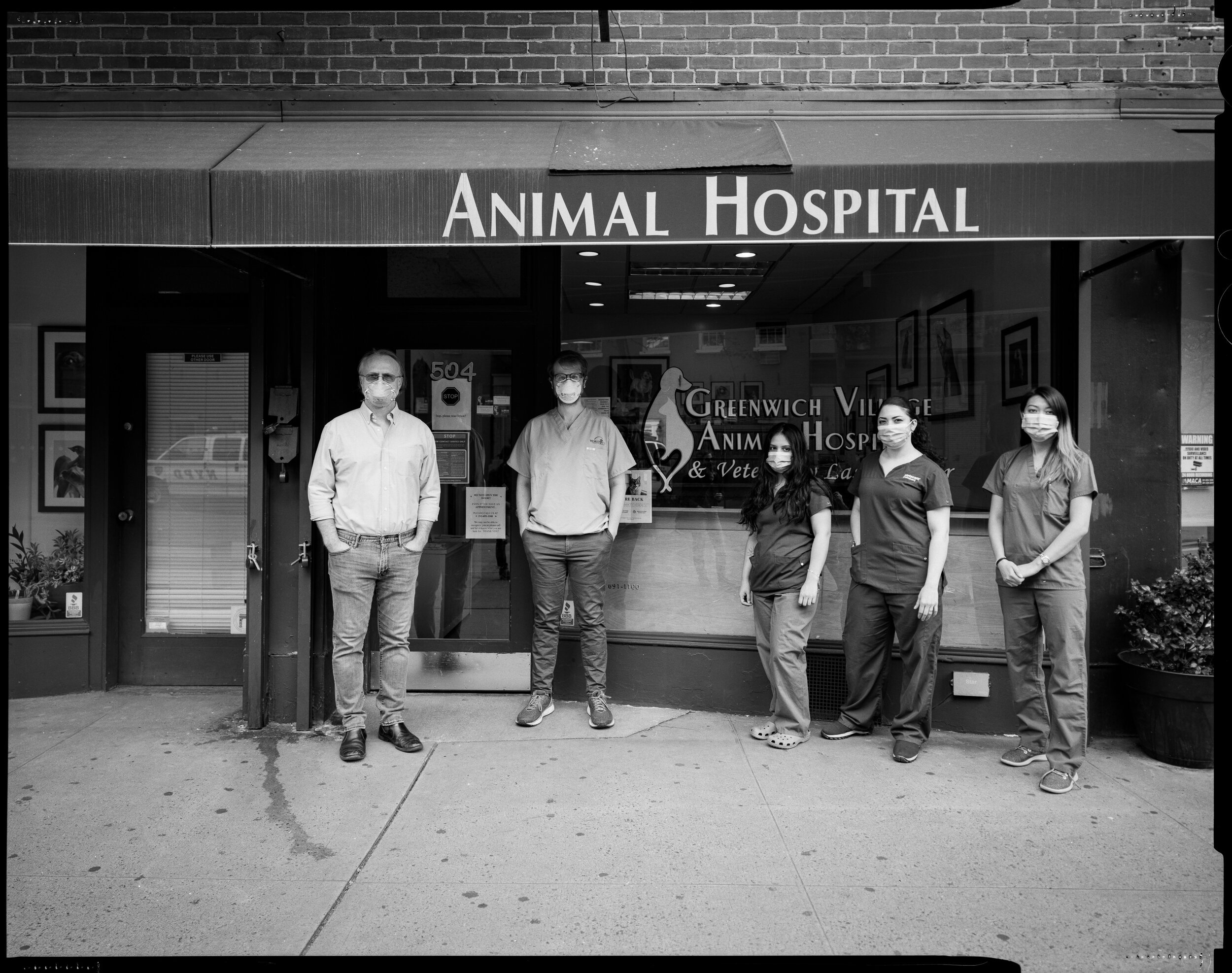Greenwich Village Animal Hospital