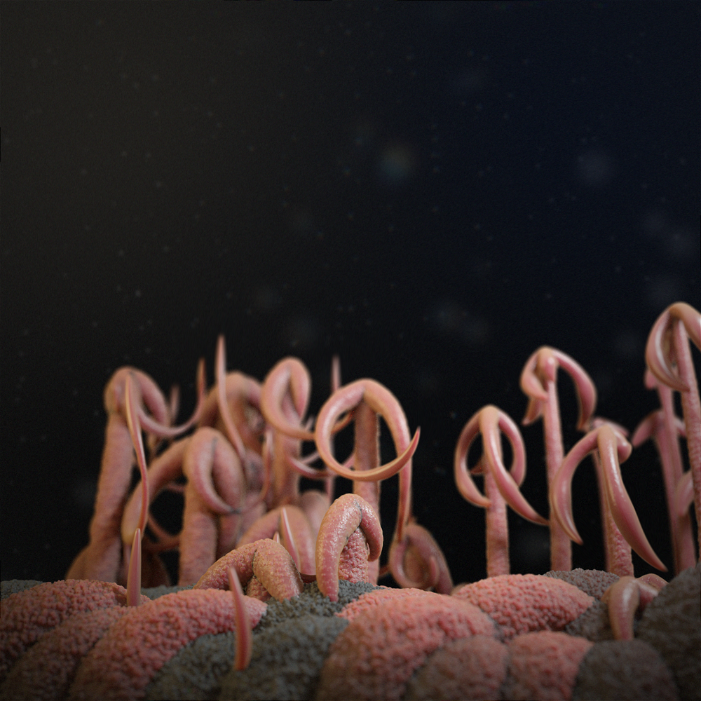 Abstract organic growth — Pixels in progress