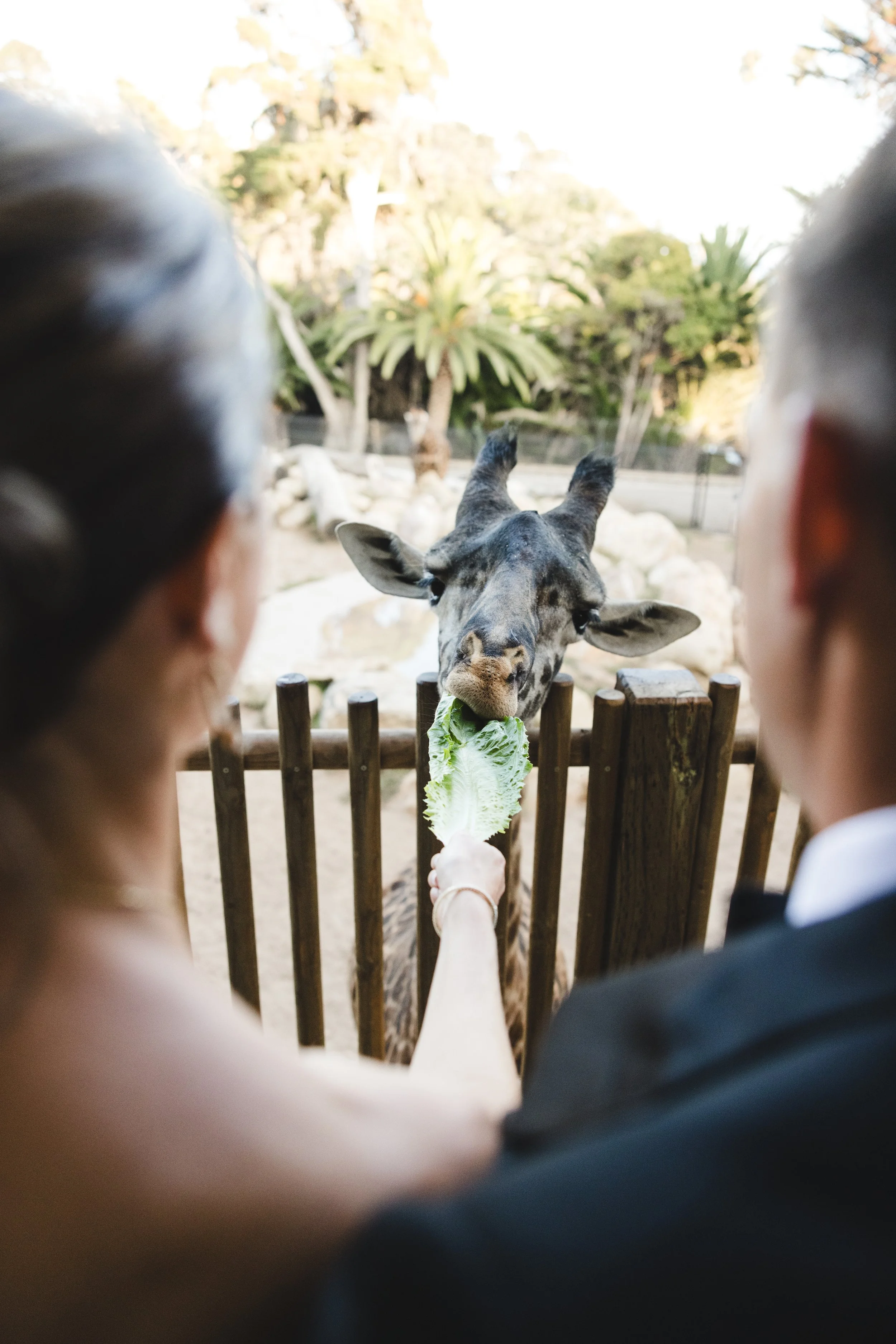 Frankie and Tyler teasers-58.jpg