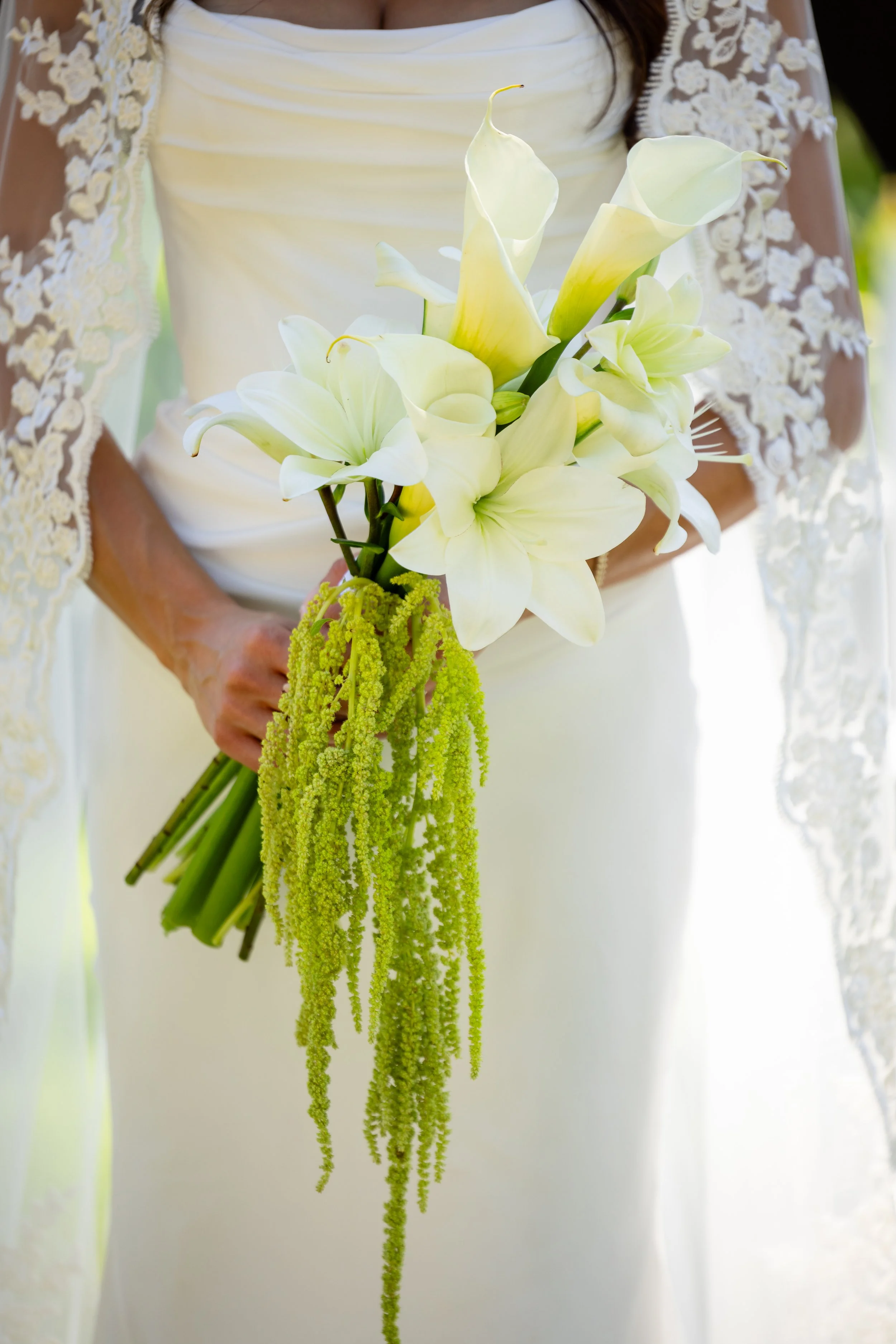 Careen and Nick Teasers-17.jpg