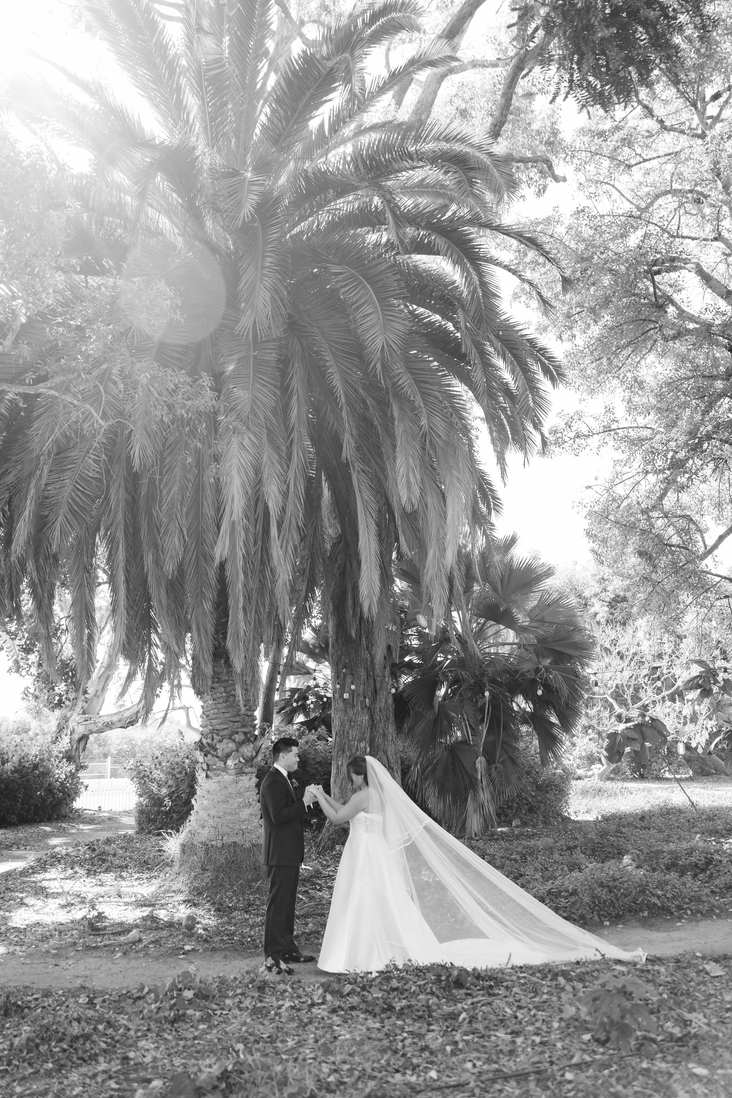 Marisa and Chris Teasers-28.jpg